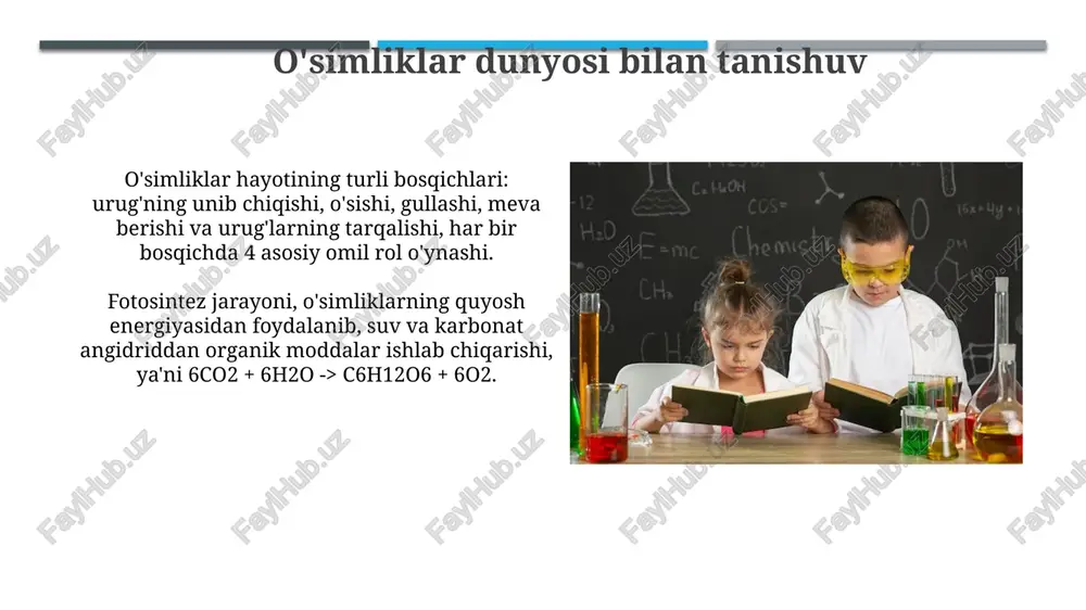 yvonlarning asosiy turlari (masalan, sutemizuvchilar, qushlar, hasharotlar) haqida ma'lumot beriladi, ularning asosiy xususiyatlari 3-4 misol bilan tushuntiriladi. hayvonlarning inson hayotidagi ahamiyati (masalan, oziq-ovqat, kiyim-kechak, yordamchi hayvonlar) 1 yoki 2 ta konkret misol bilan yoritiladi. o'quv dasturining tuzilishi va tarkibi har bir yo'nalish bo'yicha o'quv soatlari taqsimoti sinflar kesimida belgilanadi, masalan, 1-sinfda kuzatishga 10 soat ajratilishi mumkin. dastur tarkibi 4 asosiy yo'nalishni o'z ichiga oladi: tirik va notirik tabiat, ekologiya asoslari, inson va salomatlik, texnologiyalar va atrof-muhit. e'tiboringiz uchun rahmat @taqdimot_robot image2.jpg image3.jpg image4.jpg image5.jpg image6.jpg image7.jpg image8.jpg image9.jpg image10.jpg image11.jpg image12.jpg image13.jpg fy —. ay weap —. 4