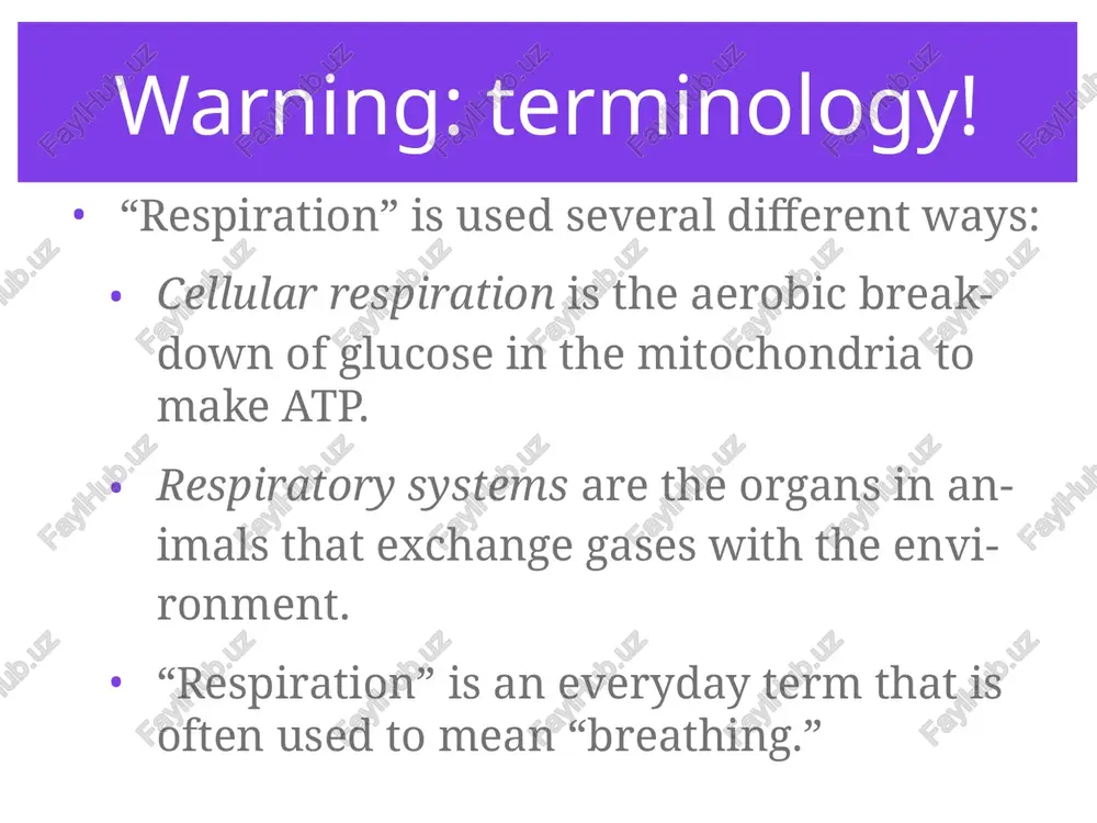ite cells. bound to hemoglobin. combined with carbon to make carbon dioxide. dissolved in the plasma. effects of smoking inhaled smoke contains: co2, which affects the co2 diffusion gradient. carcinogenic chemicals that can trigger tumors. toxic nicotine, which paralyzes cilia that normally clean the lungs. gross, isn’t it? emphysema besides cancer, smoking can also lead to emphysema. alveoli become dry and brittle, and eventually rupture. both active and passive smoking (“second-hand” smoke) can lead to can lead to lung problems. all types of smoke, not just tobacco, can cause cancers and emphysema. cystic fibrosis cystic fibrosis is one of the most common inherited disorders in the caucasian population in the u.s. cf is caused by mutation of a single gene, the cftr gene, which controls salt balance in the lungs. cystic fibrosis a normal cftr protein regulates the amount of chloride ions across the cell membrane of lung cells. if …