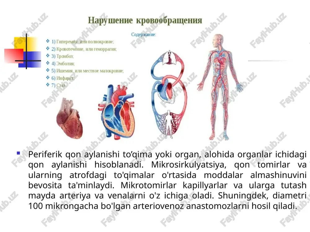 agistral tomirlar o'zanida hosil bo'ladi, ikkinchi turi esa mayda arteriya va venalarda hosil bo'ladi. tromboz rivojlanishga olib keluvchi sabab va sharoitlar qon tomir devori butunligining buzilishi, shikastlanishi, kimyoviy moddalar ta'sirida, ateroskleroz, kon dimlanishi, yalliglanish, infektsiyalar oqibatida yuzaga keladi. tromb xosil bo'lishida qon okishining sekinlashuvi va buzilishining axamiyatini isbotlovchi dalil bu tromblarning ko'p xollarda kon-tomir tizimining kon okimi sekin bo'lgan joylarida xosil bo'lishidir (tromblarning arteriyalarga nisbatan venalarda ko'prok uchrashi) qon sifatining o'zgarishi, uning ivish xususiyati oshishi tromb xosil bo'lishi uchun qulay sharoit yaratadi (ivish va ivishga karshi omillarning, serologik xususiyatlarning va oksil tarkibining uzgarishlari va b.). tromb xosil bo'lish mexanizmi tromb xosil bo'lishi 2 bosqichda kechadi: i .agglyutinatsiya bosqichi - bunda okayotgan kondan plazma oksillari qisman chukadi va undan sung kon plastinkalari cho'kib, kon tomir ichki devori yuzasida joylashadi. chukish jarayoni plastinkalarning agglyutinatsiyasi bilan kuzatiladi (trombning ok kismi). tomir devorida xosil bulgan katlam seknn-asta leykotsitlar xisobiga kattalashib, kon okimiga tuskinlik qiladi. …