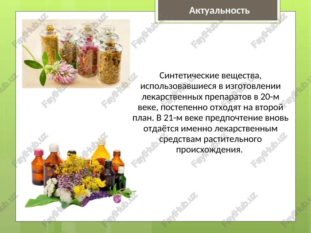 sirya zalit 200 ml goryachey vodi, gret na kipyashey vodyanoy bane 30 minut. * rastvor 1 rastvor 2 rastvor plodov shipovnika issledovatelskaya rabota rastvor plodov shipovnika rastvor 1 rastvor 2 issledovatelskaya rabota rastvor plodov shipovnika rastvor 1 rastvor 2 issledovatelskaya rabota opros 1)perechislite 3 lekarstvennix rasteniya vashey mestnosti. otvechali: valeryana, romashka, polin, krapiva, podorojnik, mat-i-machexa, zveroboy, shalfey, kora duba, tsvetki lipi, shipovnik, melissa, myata, kalendula, reven, boyarishnik, kiprey, chereda, jenshen, chabrets, tisyachelistnik, jasmin, chistotel, bagulnik * opros 3) xoteli bi vi uznat o tom, kak zavarivat lekarstvennie travi i kak ix pravilno prinimat? 2) vi prinimaete lekarstvennie preparati dlya svoego lecheniya? * opros 4) vi predpochitaete lekarstvennie sredstva otechestvennogo ili zarubejnogo proizvodstva? 5) znaete li vi, chem otlichayutsya nastoi ot otvarov, nastoyki ot past? * zaklyuchenie interes k tselebnim svoystvam rasteniy v nastoyashee vremya visok kak nikogda, i nauchnaya meditsina prodoljaet obogashatsya za schet narodnix sredstv. rasteniya kak bili glavnim …
