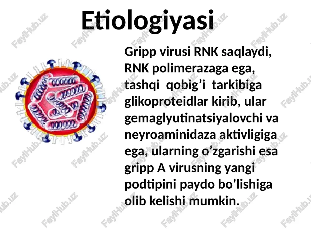 k ichish 3- haroratni tushuruvchi dori vositalar: paratsetamol (panadol, koldreks); nosteroid yallig’lanishga qarshi preparatlar (nemisil,brufen yoshiga qarab ), 16 yoshgacha bo’lgan bolalarga atsetilsalitsil kislotasi (aspirin) reya sindromi rivojlanish xavfi bo’lganligi sababli man etiladi. 4 – mukolitiklar: ambrobene, mukaltin, solodka ildizi yoki altey damlamasi va boshqalar; 5- askorbin kislotasi yoki polivitaminlar 6- antigistamin preparatlar (tavegil, suprastin yoki zaditen, diazolin, ketotifen va boshqalar) gripp va o’rvilarda qo’llaniladigan virusga qarshi dori vositalar 1. adamantandan tarkib topgan: remantadin, algirem, amantadin 2. neyraminidaza aktivligini ingibitorlari: ozeltamivir – tamiflyu, zanamivir - relenza. 3. interferon preparatlari (ifn) va ular induktorlari: grippferon, viferon, reaferon, arbidol, amiksin, sikloferon, neovir, kagotsel, larifan, ridostin etiotrop terapiya remantadin 50 mg dan 2 mahal kuniga (10 yoshgacha bolalarga) va 50 mg dan 3mahal kuniga (10 yoshdan keyin va kattalarga) ichishga yoki arbidol 100 mg dan 2 mahal kuniga va 100 mg dan 3 mahal kuniga yoshga qarab. grippga qarshi yuqori antitelolar saqlovchi normal …
