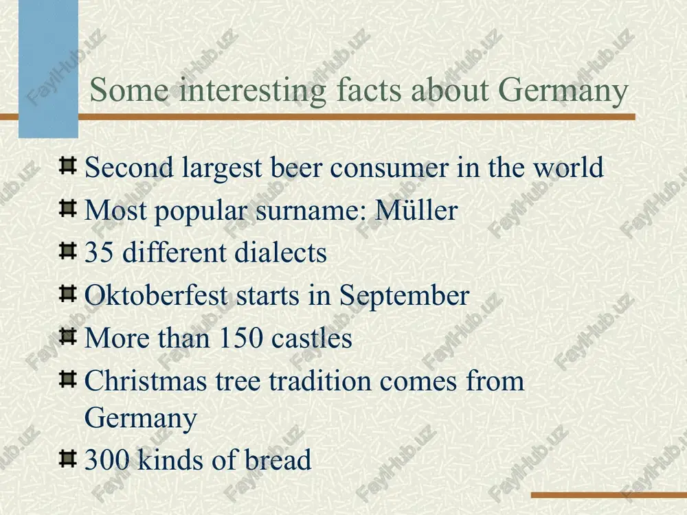 germany presentation - Page 3