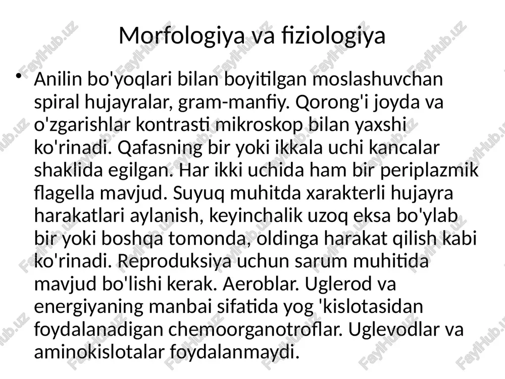 i borligida) - qon, miya oshqozon suyuqligi, ichki organlarning homogenatlari olinadi. epidemiologik ko'rsatkichlarga ko'ra ular suv, oziq-ovqat mahsulotlari, leptospironosistva uchun kemiruvchilar, uy hayvonlarining siydiklarini tekshiradilar. kasallikning dastlabki kunlarida, febril vaqt bo'lganida, urug'lik, bioprob va asosiy mikroskopik qon uchun olib boriladi, qon 10-16 kundan boshlab siydik va serebrospinal suyuqlikdan to'planadi va qon zahari 5-15 kun davomida tekshiriladi. toza madaniyatlarni va hayvonlarni ifloslanishini izolyatsiya qilish xavfsiz laboratoriyalarda amalga oshiriladi, bu erda materiallar maxsus etkazib berish orqali katta ehtiyotkorlik bilan ta'minlanadi. an'anaviy mikrobiologiya laboratoriyalarida faqat bakteriyoskopik va serologik tadqiqotlar olib boriladi. leptospiralar anilin bo'yoqlari bilan juda kam bo'yalgan, shuning uchun "bosimli tomchilar" da jonli mikroorganizmlar quruq lens yordamida (40x) qorong'i maydonli mikroskop yordamida tekshiriladi. 2 ml hajmdagi venoz qon 2 ml 2% natriy sitrat eritmasi bilan aralashtiriladi. olingan plazma 3000 rpm da 30 minut davomida santrifüse qilinadi. siydik, serebrospinal suyuqlik va parenximatoz organlarning susayishi 4000 rpmda 2 soat davomida santrifüj qilinadi. pasteur pufagi …