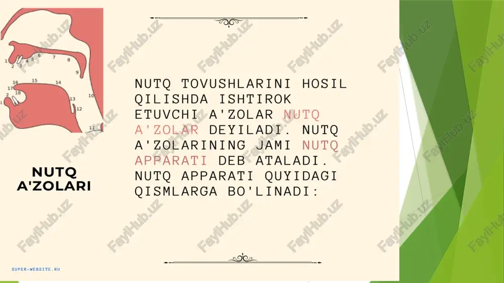 nli tovushlar, ularning tasnifi. 4.undosh tovushlar, ularning tasnifi. nutq a'zolari super-website.ru nutq tovushlarini hosil qilishda ishtirok etuvchi a'zolar nuto a'zolar deyiladi. nutq a'zolarining jami nutq apparati deb ataladi. nutq apparati quyidagi qismlarga bo'linadi: 4y 8012 og1z surun nafasyolt gosuicl boshligi bo'shligt nafas yo'li ( bunga o'pka, bir juft bronxlar va nafas yo'li yoki traxeya kiradi ). nafas yo'li tovush hosil qilish uchun havo manbai sanaladi, ya'ni o'zidan yugoridagi nutq a'zolariga ha yetkazib beradi. bo'g'iz bo'shlig'i (bunga qalqonsimon tog'aylar hamda ovoz (un) paychalari kiradi). chunki bo'g'izda_ ko'ndalang joylashgan elastik, yupqa un _ paychalari mavjud bo'lib,so'zlash paytida o'pkadan clliqayotgan havoning kuchi bilan titraydi va ovoz hosil gqiladi. unlilar, sonor va jarangli undoshlardagi ovoz ana shu un . paychalarining bo'g'iz bo'shlig'i va \ tebranishi natijasidir. a og'iz bo'shlig'i (bunga til tanglay, kichik til, tishlar joylashgan). og'iz bo'shlig'i pastki jag'ning harakati bilan keng va tor holatga o'tib turadi. og'iz bo'shlig'idagi a'zolarning turlicha harakati xilma-xil …
