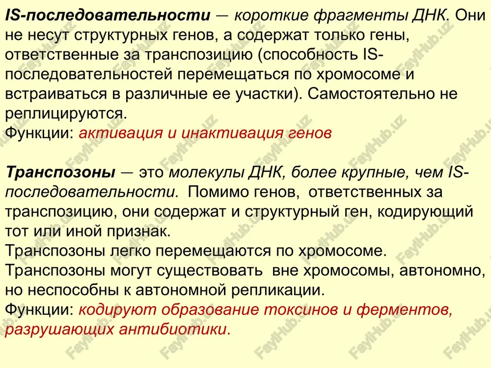 v dnk; • gennimi – izmenenie gena; • xromosomnimi – perestroyki tselix fragmentov dnk. po napravlennosti: - pryamimi – poyavlenie mutantnogo genotipa, vozvrata k normalnomu genotipu ne proisxodit; - obratnimi (reversii) – proisxodyat v mutantnom genotipe i vizivayut ego vozvrat k normalnomu . rekombinatsii (obmen geneticheskim materialom) u bakteriy 1. kon'yugatsiya 3. transformatsiya 2. transduktsiya kon'yugatsiya kon'yugatsiya — obmen geneticheskoy informatsiey u bakteriy putem peredachi ee ot donora k retsipientu pri ix pryamom kontakte. posle obrazovaniya mejdu donorom i retsipientom kon'yugatsionnogo mostika odna nit dnk kletki-donora postupaet po nemu v kletku-retsipient. donorskoy funktsiey obladayut f+-kletki (soderjashie plazmidu fertilnosti). eksperiment lederberga i tatuma, demonstriruyushiy rekombinatsiyu u e.coli (1946) shtamm a treonin -leytsin - shtamm b biotin -metionin - tiamin - otsutstvie rosta otsutstvie rosta minimalnaya sreda bez aminokislot: thr, leu, bio, met i thi smes a i b prototrofnie kolonii rekombinatsiya mejdu dvumya komplementarnimi auksotrofnimi mutantami privodit k tomu, chto oni …
