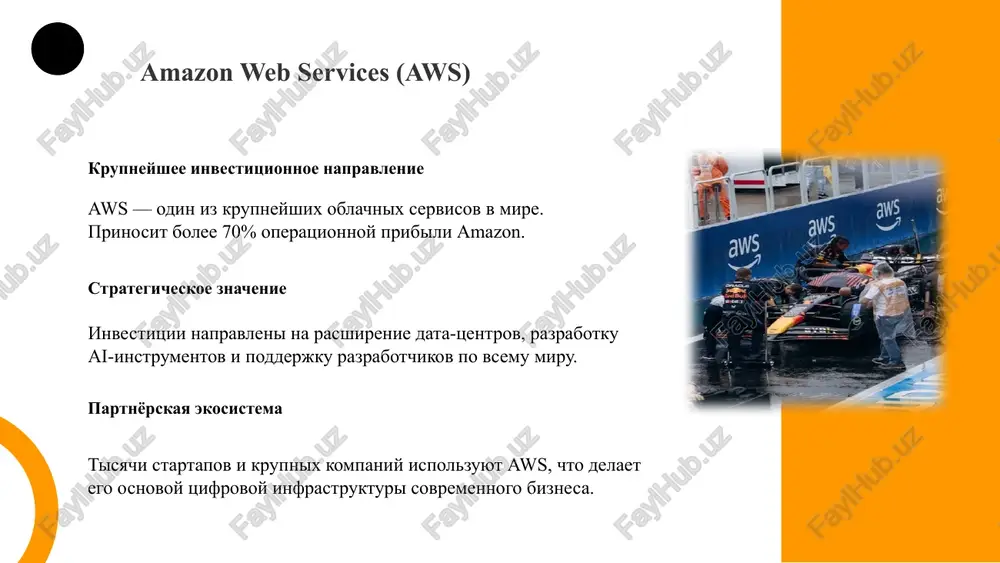 amazon: investitsionnie napravleniya - Page 3