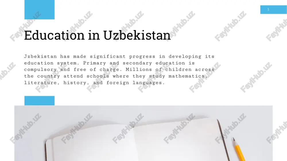 education systeam prezentatsiya - Page 3