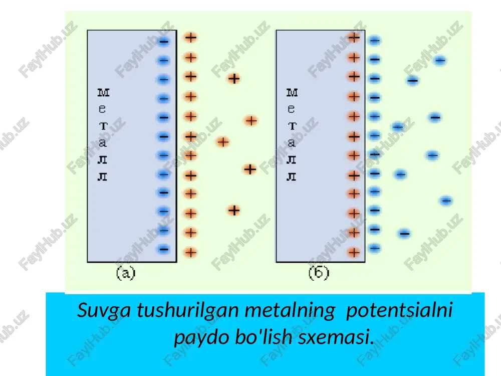 onsetratsion elektrkimyoviy elementlar (pt)hg, hg2cl2│cl-(1,5mol/l)|│cl-(0,5mol/l)│hg2cl2,hg(pt) rtut rastvor kcl kalomel hg2cl2 (pt)hg, hg2cl2│cl- pt c=0.5 mol/l s=1,5 mol/l rtut rastvor kcl kalomel hg2cl2 cl-│hg2cl2,hg(pt) * * ikki eritma chegarasida paydo bo'ladi diffuziya potentsiali. ko'proq harakatchan ionlar erta tarqaladi. natijada, ikkita suyuqlik chegarasida quyidagilar yuzaga keladi: elektr ikki qatlamli (eqq) potentsial sakrash dizel elektr stantsiyasida yuzaga keladigan potentsial sakrash quyidagicha aniqlanadi: kationlar va anionlar (agar ) yoki anionlar va kationlar (agar ) harakatchanligidagi farq: holat uchun: (3.23) eslatma: (3.23) tenglamadan ko’rinadiki, ionlar xarakatchanligi va eritmalarning aktivligi qanch katta bo’lsa difffuzion potensial shuncha katta bo’ladi. * * agar bolsa , unda suyultirlgan eritma musbat zaryadlangan bo’ladi, suyuqlikning konsentrlan eritma tomoni chegarasi manfiy zaryadlangan bo’ladi. (9 a rasmda keltirilgan.) agar bo’lsa , unda suyultirlgan eritma manfiy zaryadlangan bo’ladi, suyuqlikning konsentrlan eritma tomoni chegarasi musbat zaryadlangan bo’ladi. (9 b rasmda keltirilgan.) a2 a1 + - + - + - + - + - + - …