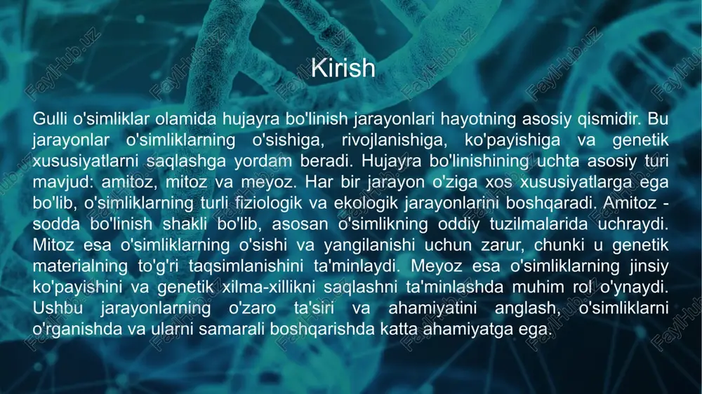 yangi hujayralar hosil bo'ladi va o'simlik tezda tiklanadi.o'simliklar ba'zan amitoz orqali tezda yangi hujayralar hosil qiladi, masalan, ba'zi dorivor o'simliklar yoki shikastlangan tuzilmalar tezda tiklanadi.adaptatsiya va evolyutsiya:meyoz orqali o'simliklar yangi genetik kombinatsiyalarni hosil qilishadi. bu, o'z navbatida, ularning ekologik sharoitlarga moslashishini ta'minlaydi va evolyutsion jarayonlarga yordam beradi.mitoz va meyozning kombinatsiyasi o'simliklar populyatsiyasining genetik xilma-xilligini saqlaydi, bu o'simliklarning omon qolish va yashash imkoniyatlarini oshiradi. amitoz:tabiiy holat: amitoz jarayoni ko'pincha ba'zi pastki darajadagi o'simliklarda, masalan, ba'zi briofitlar yoki xavfli sharoitlarda o'sadigan o'simliklarda uchraydi. bu jarayonning asosiysi - hujayra yadrosi bo'linmaydi, balki faqat hujayra membranasi va sitoplazmasi bo'linadi.genetik xatoliklar: amitozda genetik material to'g'ri taqsimlanmasligi mumkin, bu esa o'simliklarning genetik barqarorligini kamaytirishi mumkin. shuning uchun, bu jarayon o'simliklarda kamdan-kam hollarda uchraydi. mitoz:mitozning bosqichlari: mitoz 5 asosiy bosqichdan iborat: interfaza (tayyorlanish), profaza, metafaza, anafaza va telofaza. har bir bosqichda hujayra yadrosi va xromosomalar o'zgaradi va oxir-oqibat ikkita identik hujayra hosil bo'ladi.klonlanish: mitoz jarayoni o'simliklarning vegetativ …