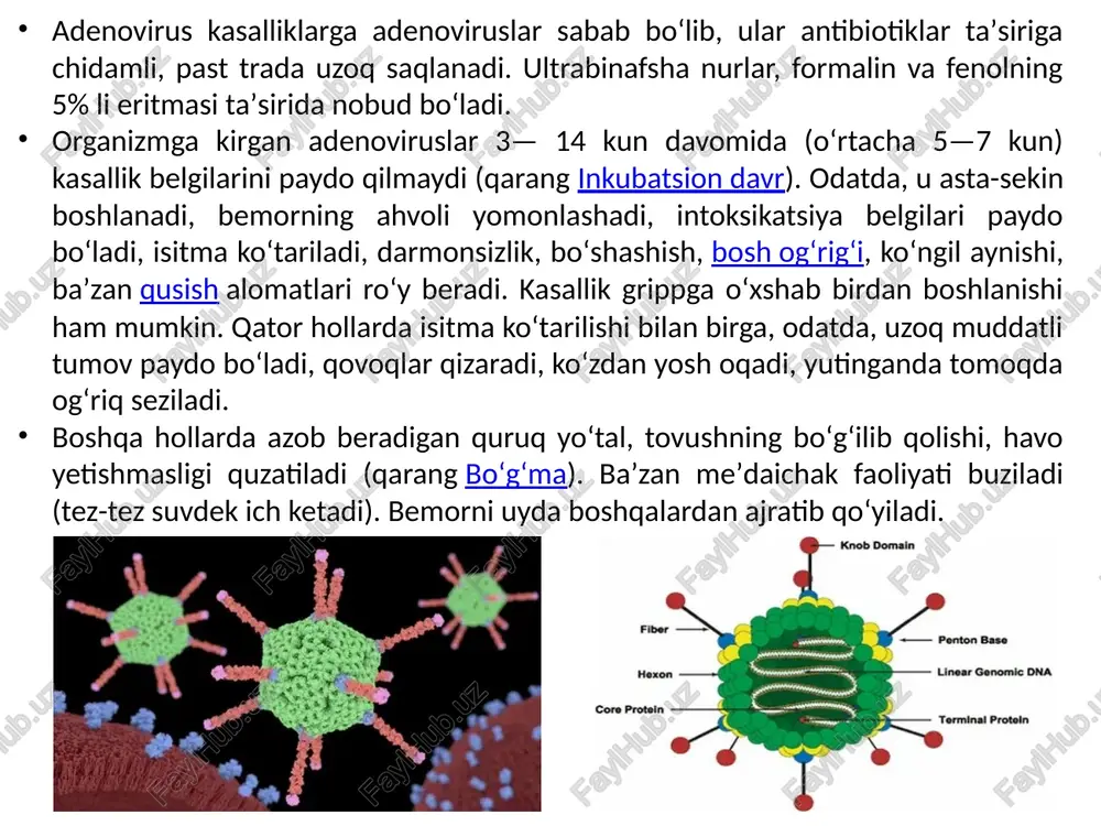 di. o'z navbatida, faollashtirilgan neytrofillar o'pka kapillyarlari endoteliyasiga yopishadi va ularning sitoplazmatik granulalari (proteazlar va kislorodning toksik metabolitlari) tarkibini chiqaradi. bu alveolyar-kapillyar to'siqni buzgan holda kapillyar endotelial va alveolyar epiteliyning shikastlanishiga olib keladi. natijada ekssudat o'pka parenximasiga va alveolyar havo bo'shlig'iga kiradi. gaz almashinuvi buziladi va gipoksiya. sirt faol moddasini hosil qilish uchun mas'ul bo'lgan ii turdagi alveolotsitlarning shikastlanishi ham mumkin. bunday holda, alveolalarning pasayishi, o'pkaning kengayishining pasayishi va o'pka ichidagi bypass operatsiyasi mavjud. bundan tashqari, o'pka gipertenziyasi qon pıhtılarının obstruktsiyasi, gipoksiya tufayli o'pka tomirlarining spazmi va ba'zi yallig'lanish vositachilarining (tromboksan, leykotrienlar va endotelin) ta'siri natijasida rivojlanadi. proliferativ bosqichda ko'pchilik bemorlarda o'pka tiklanadi: ekssudat chiqariladi, neytrofil infiltratsiya limfotsitik bilan almashtiriladi. ii turdagi alveolotsitlar ko'payadi, ular yangi sirt faol moddalar hosil qiladi va ikki turdagi alveolotsitlarga ajralib chiqadi. ammo bunday yaxshilanishlarga qaramay, ko'plab bemorlarda nafas qisilishi, taxipnea, gipoksemiya. ba'zi bemorlarda jarayon fibrotik fazaga o'tadi. o'pkada to'plangan fibrin qayta tiklanadi va fibrozga. …