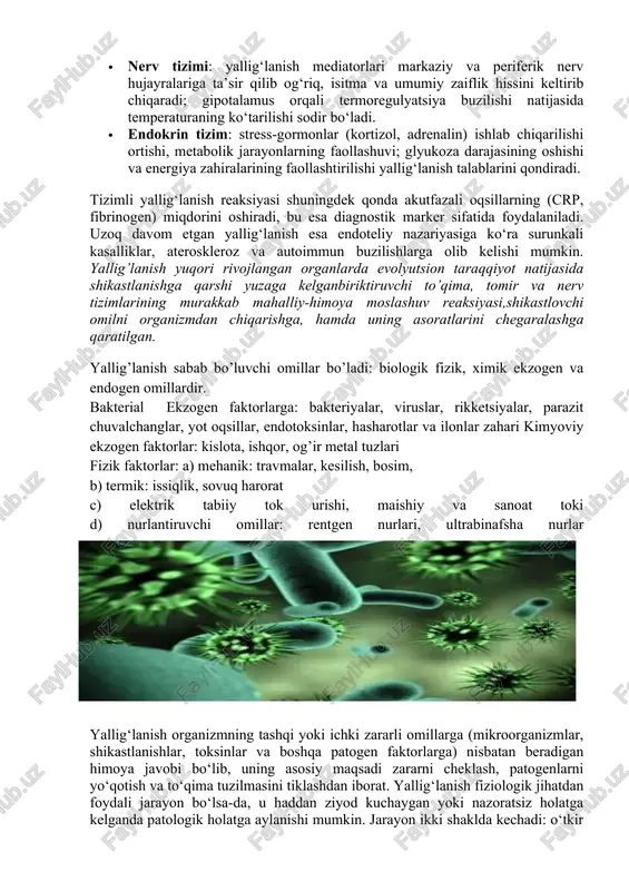 : o‘tkir va surunkali yallig‘lanish. o‘tkir yallig‘lanish qisqa muddatli bo‘lib, asosan neytrofillar ishtirokida kechadi va odatda to‘qimalar regeneratsiyasi bilan yakunlanadi. surunkali yallig‘lanishda esa mononuklear hujayralar (makrofaglar, limfotsitlar, plazmatik hujayralar) asosiy rol o‘ynaydi va bu holat ko‘p hollarda to‘qima fibroziga olib keladi. organizmdagi tizimli yallig‘lanish reaksiyalari (systemic inflammatory response syndrome – sirs) umumiy va keng qamrovli javob bo‘lib, u isitma, taxikardiya, taxipnoe, leykotsitoz yoki leykopeniya kabi belgilarda namoyon bo‘ladi. bu holat sepsis, jarohatlar, kuyishlar, autoimmun kasalliklar yoki og‘ir infeksiyalar fonida rivojlanadi. gipotalamusda joylashgan termoregulyatsiya markaziga yallig‘lanish mediatorlari, ayniqsa il-1, tnf-α va il-6 ta’sir qilishi natijasida tana harorati ko‘tariladi, bu esa organizmning himoya mexanizmlaridan biri hisoblanadi. aynan shu mediatorlar jigar hujayralarida c-reaktiv oqsil, fibrinogen, serum amiloid a kabi yallig‘lanish oqsillarining sintezini oshiradi. bu oqsillar patogenlarni bog‘lab, fagotsitozni osonlashtiradi va immun javobni faollashtiradi. yallig‘lanish jarayonining yana bir tizimli ta’siri qon tarkibida yuz beruvchi o‘zgarishlardir. leykotsitoz yoki ba’zida leykopeniya kuzatiladi, trombotsitopeniya paydo bo‘lishi mumkin, …