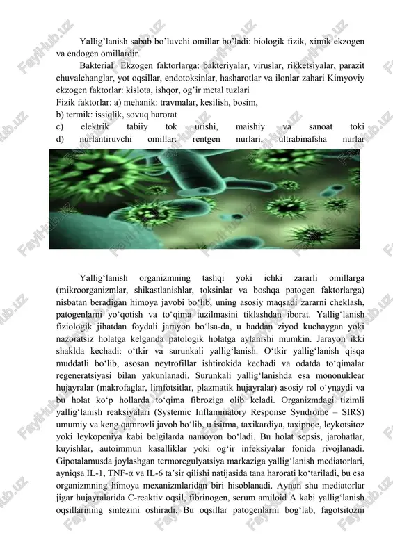 h reaksiyalari (systemic inflammatory response syndrome – sirs) umumiy va keng qamrovli javob bo‘lib, u isitma, taxikardiya, taxipnoe, leykotsitoz yoki leykopeniya kabi belgilarda namoyon bo‘ladi. bu holat sepsis, jarohatlar, kuyishlar, autoimmun kasalliklar yoki og‘ir infeksiyalar fonida rivojlanadi. gipotalamusda joylashgan termoregulyatsiya markaziga yallig‘lanish mediatorlari, ayniqsa il-1, tnf-α va il-6 ta’sir qilishi natijasida tana harorati ko‘tariladi, bu esa organizmning himoya mexanizmlaridan biri hisoblanadi. aynan shu mediatorlar jigar hujayralarida c-reaktiv oqsil, fibrinogen, serum amiloid a kabi yallig‘lanish oqsillarining sintezini oshiradi. bu oqsillar patogenlarni bog‘lab, fagotsitozni osonlashtiradi va immun javobni faollashtiradi. yallig‘lanish jarayonining yana bir tizimli ta’siri qon tarkibida yuz beruvchi o‘zgarishlardir. leykotsitoz yoki ba’zida leykopeniya kuzatiladi, trombotsitopeniya paydo bo‘lishi mumkin, eritrotsitlar cho‘kish tezligi (eçt) oshadi, bu esa yallig‘lanish biomarkeri sifatida ishlatiladi. shuningdek, yurak-qon tomir tizimida qon bosimi pasayishi, yurak qisqarish chastotasi ortishi kabi reaktiv o‘zgarishlar kuzatiladi. endokrin tizimda esa kortizol va boshqa stress gormonlarining sekretsiyasi ortadi, bu esa yallig‘lanishga qarshi va metabolik ta’sirlar …