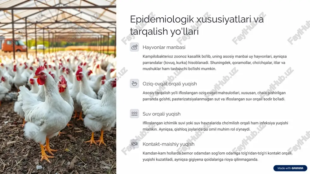 vojlanadigan kam uchraydigan, ammo jiddiy nevrologik asorat. reaktiv artrit: bo'g'imlarning yallig'lanishi, ko'pincha dizenteriya yoki boshqa ichak infeksiyalaridan keyin kuzatiladi. qorin bo'shlig'i a'zolariga tarqalish: kam hollarda septitsemiya, pankreatit, xoletsistit kabi asoratlar yuzaga kelishi mumkin. 5 diagnostika usullari: laboratoriya tekshiruvlari va differensial tashxis najasni bakteriologik ekish eng ishonchli usul. najas namunasi maxsus selektiv muhitga ekiladi va 42°c haroratda mikroaerofil sharoitda inkubatsiya qilinadi. o'sgan koloniyalar identifikatsiya qilinadi. polimeraza zanjiri reaksiyasi (pzr) tez va yuqori sezuvchanlikka ega usul. najas namunalarida campylobacter dnk fragmentlarini aniqlaydi. ko'pincha tadqiqot maqsadlarida yoki tezkor tashxis qo'yish zarur bo'lganda qo'llaniladi. immunologik usullar (ifa, elisa) najasda campylobacter antigenlarini yoki bemorning qonida bakteriyaga qarshi antikorlarni aniqlaydi. tashxisda yordamchi ahamiyatga ega. differensial tashxis kampilobakteriozni shigellyoz, salmonellyoz, esherixioz, rotavirus infeksiyasi va boshqa o'tkir ichak infeksiyalaridan, shuningdek, appenditsit va boshqa qorin bo'shlig'i patologiyalaridan farqlash lozim. 6 davolash usullari: antibiotikoterapiya va simptomatik davo antibiotikoterapiya o'rta va og'ir shakllarda, shuningdek, immun tanqisligi bor shaxslarda antibiotiklar buyuriladi. makrolidlar …