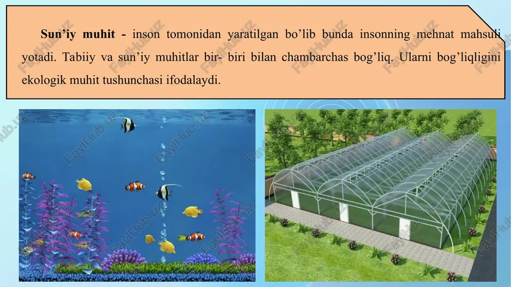 tez va boshqa biokimyoviy jarayonlar atmosferadagi gazlar tarkibiga bogʼliqdir. biokimyoviy moslanish yogʼlarning biokimyoviy oksidlanishidan foydalanishi kabilar misol boʼladi. oʼsimliklarda kechadigan fotosintez va boshqa biokimyoviy jarayonlar atmosferadagi gazlar tarkibiga bogʼliqdir. hulqiy yoki etologik moslanishlar hayvonlar uchun xos boʼlib, turli shakllarda namoyon boʼladi. masalan, tashqi muhit bilan hayvon tanasi oʼrtasida normal issiqlik almashinuvi uchun in qurish boshpana topish), qulay haroratli joyni izlab topishi, qushlar va sutemizuvchilarda sutkalik va mavsumiy koʼchib yurishlar maʼlum. hayvonlar faqat harorat omiliga hulqiy tomondan moslashib qolmay, namlik, yorugʼlik va boshqa koʼpchilik ekologik omillarga ham moslashadi. hulqiy moslanishlar yirtqichlarning oʼljani izidan yurishi, kuzatish, hamda oʼljani javob reaktsiyalarida koʼrinadi. o’simliklarning yorug’lik omiliga moslashishi 1. yorug’sevar (geliofit) o’simliklar. 2. soyasevar (stsiofitlar) o’simliklar. 3. soyaga chidamli yoki fakultativ geliofit o’simliklar. 1. yorug’sevar (geliofit) o’simliklar. ular yorug’lik yetarli bo’lgandagina normal o’sishi va rivojlanishi mumkin. bunday o’simliklarga dasht, cho’l zonalaridagi o’simliklar, o’tloqzorlardagi qo’ng’irboshdoshlar va boshqa ba’zi turlar, o’rmon o’simliklar jamoasining birinchi qatlamini tashkil etuvchi …