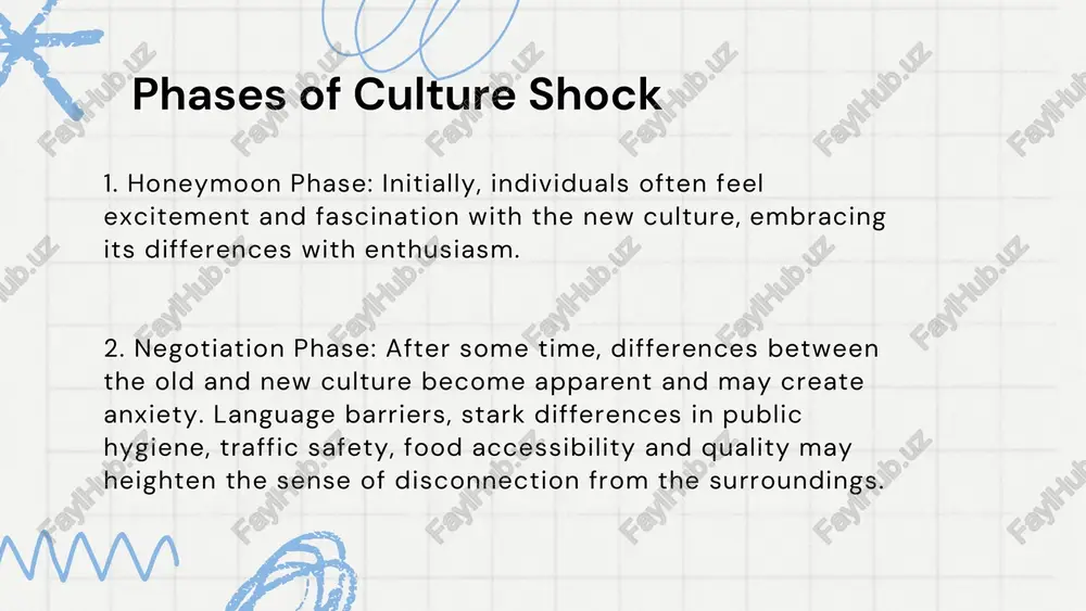 culture shock: conflicts and factors - Page 3