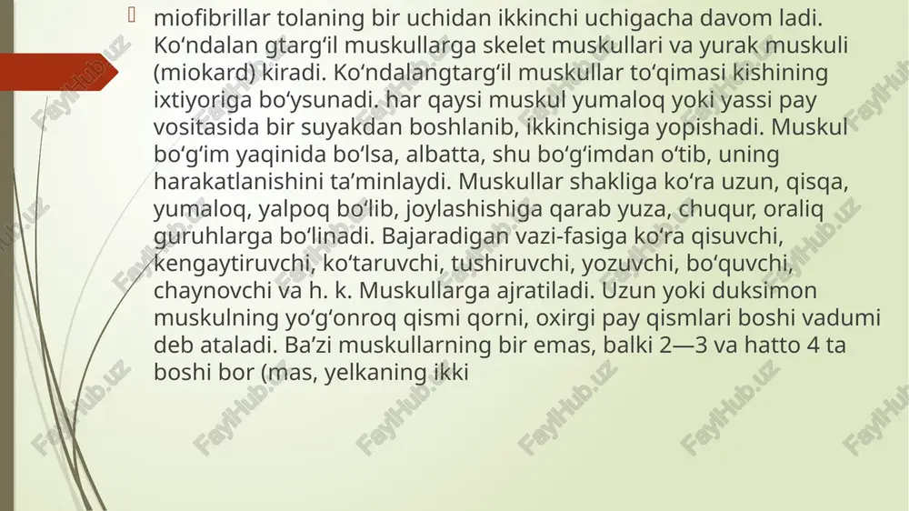 muskullari 2 guruhga: mimika va chaynov muskullariga boʻlinadi. ular yuz mimikasida, chaynashda va pastki jagʻni harakatlantirishda qatnashadi. bulardan tashqari, boʻyin hamda qoʻl muskullari bor. skelet muskullarining deyarli hammasi richaglar qonuniga muvofiq boʻgʻimlardagi suyaklarni harakatga keltiradi. odam gavdasida 600 ga yaqin muskul bor. odam gavdasidagi barcha erkin harakatlar oʻzaro bogʻlangan boʻlib, murakkab shartli va shartsiz reflekslar yordamida yuzaga chiqadi va markaziy nerv sistemasi tomonidan boshqariladi. arteriya va venalar devorining asosiy qismi, hazm yoʻlining deyarli hammasi, oʻt pu-fagi va krvuq, bachadon nayi, bachadon silliq muskullardan tuzilgan. ichki aʼzolar devori silliq muskullarining qisqarishi sekin va chuvalchang oʻrmalashisimon boʻladi. silliq muskullar refleks yoʻli bilan avtomatik qisqaradi. ular haddan tashqari kuchli qisqarganda ogʻriq paydo boʻladi (mas, jigar va buyrak sanchigʻi, ichak spazmi va h.k.). yurak muskuli tuzilishi va vazifasiga koʻra koʻndalangtargil hamda sillits muskullardan farq qiladi. unda boshqa muskullarda boʻlmaydigan xususiyat — maʼlum ritm va kuchga ega boʻlgan qisqarishlar avtomatizmi bor. yurak muskuli umr boʻyi …