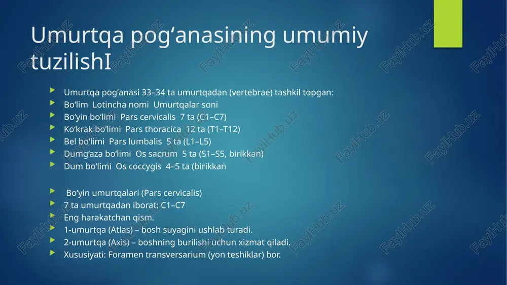 hi bo‘lim. harakatchanlik yuqori, ammo ko‘proq zo‘riqishga uchraydi. strukturasi tavsifi umurtqa tana (corpus vertebrae) juda katta va kuchli, buyrak shaklida bo‘ladi. og‘irlik yukini ko‘tarish uchun moslashgan. orqa o‘simta (processus spinosus) katta, to‘g‘ri va qalin. orqaga qaragan va palpatsiya (qo‘l bilan ushlab) qilish oson. umurtqa teshigi (foramen vertebrale) uchburchak shaklida va bo‘yin yoki ko‘krak umurtqalariga qaraganda kichikroq. transversal o‘simtalar uzun va ingichka, bel mushaklari birikadi. artikulyar (bo‘g‘im) o‘simtalar tik joylashgan bo‘lib, bu orqa-burilish harakatlariga yordam beradi. bo‘yin (c) va ko‘krak (t) umurtqalaridan katta va og‘irroq. qovurg‘alar bilan bo‘g‘im hosil qilmaydi. orqa o‘simtasi yassi va keng, orqaga cho‘zilgan. l5 – eng pastdagi bel umurtqasi bo‘lib, os sacrum bilan bog‘langan. uning shakli biroz o‘zgacha – pastga qaragan holatda joylashgan. funksiyasi: tananing asosiy og‘irligini ko‘taradi. harakatga barqarorlik beradi (egilish, bukilish, aylanish). orqa miya va asab ildizlarini himoya qiladi. ko‘tarilish va yurishda asosiy tayanch bo‘ladi. tibbiy ahamiyati: bel umurtqalari qattiq yuk tushadigan joy bo‘lgani uchun …