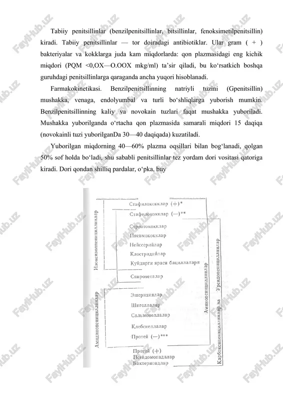 il tayoqchaga, bordetellarga, pilorik xelibakter va gram (+) bakteriyalarga ko‘proq sezgir, biroq ular rlaktamaza ishlab chiqaruvchi stafilokklarga ta’sir qilmaganligi, «gospital» infeksiya masalasini hal qila olmaganligi sababli ularning aralashmasini tutuvchi dori shakllari ishlab chiqilgan. ampioks (ampnsillin+oksatsillin), klonakolr (ampitsillin + kloksatsillin), unazin va uning ichishga beriladigan dori shakli sulatsillin, sultamitsin (ampitsillin +sulbaktam) rlaktamazani falajlaydi. aminopenitsillinlar benzilpenitsillinlardan quyidagi asosiy farmakokinetik ko‘rsatkichlari bilan farqlanadi: 1) by guruhdagi dorilarning hammasyni ichishga berish mumkin. ampitsillin ovqatdan 1—1,5 soat oldin beriladi. uning biologik o‘zlashtirilishi 40% ga yaqin; amoksitsillinni ichish ovqatga bog‘liq emas, biologik o‘zlashtirilishi 70—80%. uni flemoksin solyutab dori shaklining biologik o‘zlashtirilishi 90% ni tashkil qiladi. yuqori biologik o‘zlashtirilishi sababli, dori ichak florasiga kam ta’sir qiladi, ya’ni disbakterioz chaqirmaydi. dorining ichak shilliq pardasiga qitiqlovchi ta’sirini qisqartiradi, ya’ni dispeptik hodisalar chaqirmaydi. ichishga berilgan dori miqdori samarasi shu miqdorni parenteral yuborilgandagiga teng. solyutab tabletkasini sindirish, chaynash va eritib ham ichish mumkin, bu uning qabulini osonlashtiradi, ya’ni qabul qilish tartibi …