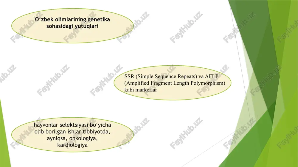 va o‘zgartirish mumkin 3.2. biotexnologiya va genetikaning zamonaviy yo’nalishlari 2003-yilda inson genomining to‘liq xaritasi yaratildi genetik modifikatsiya genomika va genetik muhandislikdir inson genomining to‘liq tahlil qilinishi o‘simliklar va hayvonlarni genetik modifikatsiya qilish usulida ilgari surilgan yutuqlar, klonlash bioinformatika tibbiyotda biosensorlar va biomonitoring texnologiyalari bioinformatika , biologik dastur tizimlari ekologik muammolarni hal qilish biotexnologiyaning kelajakdagi istiqbollari 3.3. kelajak genetika tadqiqotlari vauning jamiyatga ta’siri qishloq xo‘jaligida genetik modifikatsiyalangan o‘simliklar genetik kasalliklarning davolash shaxsiy genomik ma'lumotlar asosida bemorning xususiyatlariga mos davolash gmo mahsulotlarining iste'mol xulosa genetika va biotexnologiyaning rivojlanishi ilm-fan, tibbiyot, qishloq xo‘jaligi, ekologiya va boshqa sohalarda katta yutuqlarga erishilishiga olib kelmoqda. bu sohalarda amalga oshirilayotgan tadqiqotlar va kashfiyotlar, insoniyat uchun yangi imkoniyatlar yaratmoqda. genetik modifikatsiyalar, genomika, molekulyar genetika va biotexnologiyaning zamonaviy yutuqlari o‘zaro bog‘liq bo‘lib, inson salomatligini yaxshilash, kasalliklarni davolash va ekologik muammolarni hal qilishda katta rol o‘ynaydi.klassik genetikaning asoslari, mendelning qonunlari va xx asrdagi yirik ilmiy kashfiyotlar bu sohaning rivojlanishiga mustahkam …