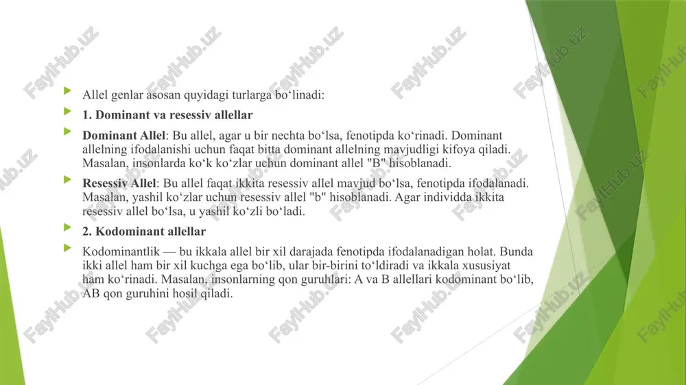 odominantlikda ikkita allel bir vaqtning o‘zida va teng darajada fenotipda ifodalanadi. bu, asosan, qon guruhlarini belgilashda ko‘rinadi. insonlardagi qon guruhlari a, b, ab va 0 (o) bo‘lib, a va b allellari kodominantdir. a va b allellari birgalikda ab qon guruhini tashkil etadi, bunda ikkala allelning ta’siri ham teng darajada namoyon bo‘ladi. kodominantlik va uning oʻzig xosligi. kodominantlik — bu genetik bir xususiyatni belgilovchi allellar bir vaqtning o‘zida fenotipda to‘liq va teng tarzda ifodalanadigan o‘zaro ta’sir holatidir. bu fenomen, dominant va resessivlik qonunlari bilan qarama-qarshi bo‘lib, ikki yoki undan ortiq allellarning bir-birini "maskalamay", balki har biri o‘z ta’sirini to‘liq namoyon qilishi bilan ajralib turadi. kodominantlikda ikkita allel ham o‘zining fenotipik xususiyatlarini ko‘rsatadi. bu, masalan, insonlarning qon guruhlarini aniqlashda ko‘rinadi. insonlarda abo qon guruhi tizimi kodominantlikni namoyon qiluvchi klassik misol bo‘lib xizmat qiladi. abo qon guruhi tizimida a va b allellari kodominant hisoblanadi, ya’ni agar bir shaxsda a va b allellari bo‘lsa, …
