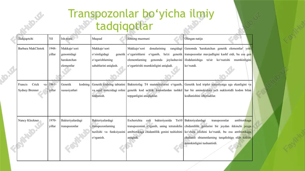 lar yaratish texnologiyasi. 2.1.mutagenezning asosiy tamoyillari. soha mutatsiya turi foydalanish sohasi misollar gen terapiya nuqta mutatsiyalar genetik kasalliklarni davolash siklemik anemiya (crispr) qishloq xo‘jaligi indel mutatsiyalar gm-o‘simliklar, hosildorlikni oshirish golden rice, bt-kartoshka farmatsevtika dinamik mutatsiyalar dori vositalari ishlab chiqarish genetik modifikatsiyalangan insulin saraton tadqiqotlari onkogen mutatsiyalar individual terapiya yaratish tp53 geni mutatsiyalari gen mutatsiyalarining amaliy biotexnologiyadagi qo‘llanilishi. gen mutatsiyalari va ularning amaliy biotexnologiyadagi ahamiyati. xromosoma mutatsiyalari va biotexnologiya qishloq xo‘jaligida xromosoma mutatsiyalarining roli mutatsiya turi qo‘llanilishi natijasi poliploidiya g‘alla va sabzavot mahsuldorligini oshirish hosildorlik 30-40% ga ortadi translokatsiya kasalliklarga chidamli o‘simlik yaratish virus va zamburug‘larga chidamli navlar delesiya mevalarning xususiyatlarini yaxshilash sitrus mevalarning shirinligi oshadi farmatsevtikada xromosoma mutatsiyalaridan foydalanish 2.2. transpozonlar yordamida genom tahlili va manipulyatsiya qilish texnologiyalari. 2.3. modellar va eksperimental usullar. eksperimental tahlil usullari 3.bob. transpazonlarning amaliy biotexnologiyadagi ahamiyati. 3.1. tibbiyot (gen terapiya, saraton tadqiqotlari)da transpozonlarning qo‘llanilishi. 3.2. qishloq xo‘jaligi (o’simlik genetikasi, hosildorlikni oshirish) dagi transpozonlarning ahamiyati. 3.3. …