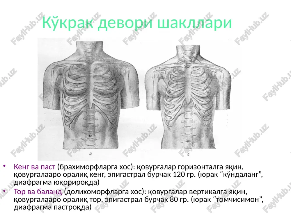 pardasi ostida rezektsiya qilish orqali) intraplevral linberg bo'yicha “zinapoyasimon” ekstraplevral torakoplastika ii. qovurg'a rezektsiyasi, suyak pardasini kesish; i. ko'krak devori muskullarini kesish; iii. suyak usti pardasini qovurg'a ustki va ostki qirg'oqlaridan ajratish; iv. suyak pardasini qovurg'aning ichki yuzasidan ajratib, qovurg'ani kesish v. ikkala qo'shni qovurg'alarni retraktor, chok, ilmoqlar yordamida yaqinlashtirish, keyin kesilgan muskullar tikiladi linberg bo'yicha “zinapoyasimon” torakoplastika sut bezi 15-20 ta bo'lakchalar bo'lakchalarning so'rg'ich atrofida radial joylashuvi sut yo'llarining radial yo'nalishi sut bezi sohasi kletchatkalari teri va sut bezi kapsulasi orasida bez kapsulasi ichida retromammar kletchatka - sut bezi kapsulasi (yuza fastsiya) va ko'krak xususiy fastsiyasi orasida joylashgan mastitlar antemammar intramammar retromammar flegmona radial kesimlar (intarmammar) sut bezi tagidagi burma bo'ylab (retromammar) mastitlarda kesishlar radikal mastektomiya texnikasi ochish o'smani sog' to'qimalar doirasida kesish regionar limfa tugunlarini olib tashlash jarohatni bekitish sut bezidan limfa oqishi lateral kvadrantlardan -qo'ltiq osti l\t ga: zorgius intrapektoral (rotter l\t) transpektoral (muskullar ichida) medial kvadrantlardan …