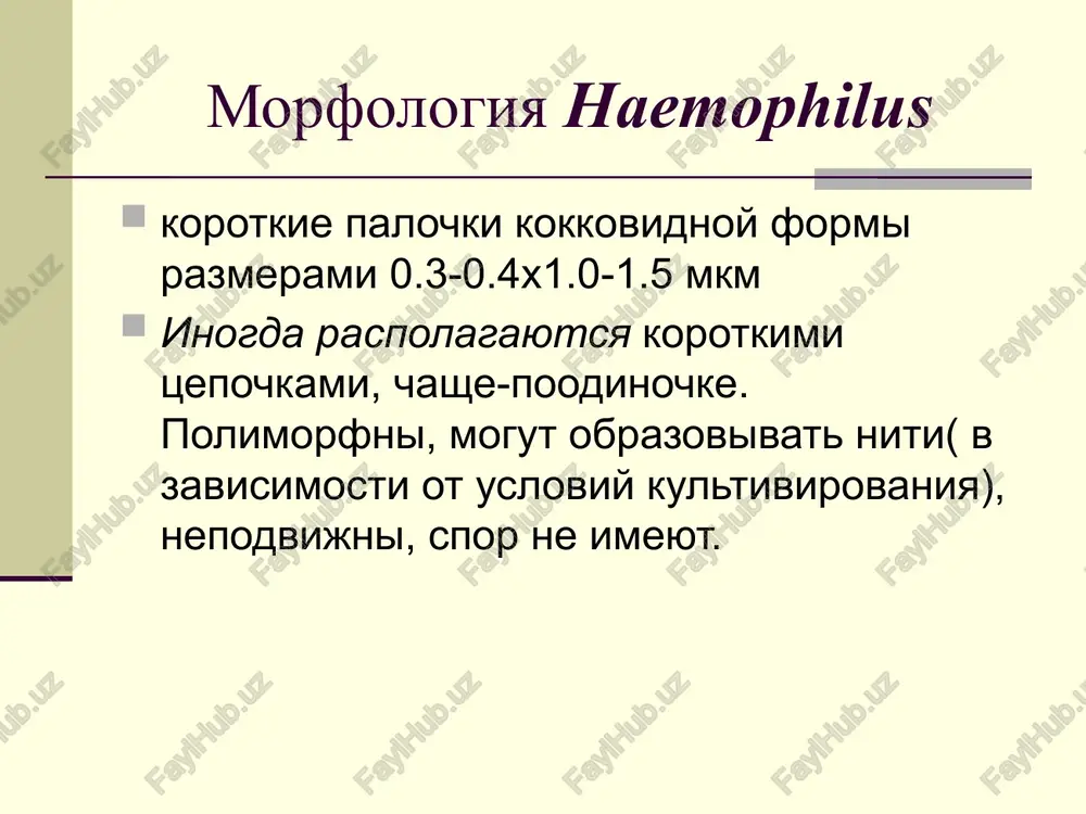 inflyuentsi ne sposobna. obyazatelnoe uslovie rosta palochki inflyuentsi — prisutstvie v pitatelnoy srede svejey krovi. pered vneseniem v sredu krov progrevayut pri 80 °s v techenie 15 min, chto sposobstvuet visvobojdeniyu faktorov iz eritrotsitov i razrusheniyu sivorotochnix ingibitorov, inaktiviruyushix faktor v. kulturalnie svoystva na shokoladnom agare kolonii haemophilus influenzae virastayut cherez 36-48 chasov i dostigayut diametra 1 mm. na krovyanom agare s dobavleniem serdechno-mozgovogo ekstrakta cherez sutki virastayut melkie,okruglie, vipuklie kolonii s radujnimi perelivami. na jidkix sredax s dobavleniem krovi nablyudaetsya diffuzniy rost.inogda obrazuyutsya belesie xlopya i osadok na dne. osobennost koloniy –satellitniy rost vblizi stafilokokkov pnevmokokki-ingibitori rosta palochki inflyuentsi. na sha kapsulosoderjashie shtammi i. influenzae formiruyut slizistie m-kolonii (sochnie, serovatie, s radujnimi perelivami) libo poluprozrachnie blestyashie s-kolonii diametrom 3-4 mm. nekapsulirovannie shtammi palochek inflyuentsi na tvyordix pitatelnix sredax formiruyut bolee melkie zernistie r-kolonii, s nerovnim kraem, serovato-belogo tsveta. bioximicheskie svoystva haemophilus influenzae saxaroliticheskie svoystva virajeni slabo i nepostoyanno. obichno …