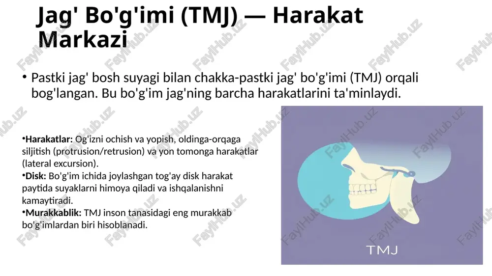 tki jag' nafaqat suyak, balki insonning hayotiy funktsiyalari va tashqi ko'rinishini belgilovchi murakkab, dinamik tuzilmadir. eslab qoling: pastki jag'ning sog'lig'i umumiy salomatlik va hayot sifatiga bevosita ta'sir qiladi. tmj muammolari, tishlar holati va chaynash mushaklari bir-biri bilan chambarchas bog'liq. 10 image1.png image2.png image3.png image4.png image5.png image6.png image7.png image8.png image9.png image10.png tmj /docprops/thumbnail.jpeg pastki jag’ anatomiyasi va funktsiyasi
