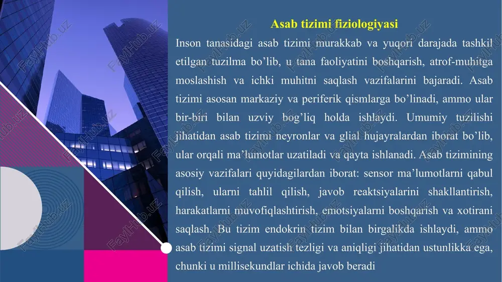 siya qiladi, natriy kanallari ochiladi va natriy ionlari ichkariga kiradi, potensial +40 mv ga yetadi. keyin kaliy kanallari ochilib, repolarizatsiya yuz beradi. bu «hammasi yoki hech narsa» qonuni bo’yicha ishlaydi: agar stimul chegaradan oshsa, impuls hosil bo’ladi.uzatilishi akson bo’ylab sodda o’tkazuvchanlik (miyelinsiz aksonlarda) yoki saltatoriy (miyelinli aksonlarda) tarzda bo’ladi, tezligi 1-120 m/s. sinapsga yetganda, kalsiy ionlari kirib, vezikulalardan neyrotransmitter (masalan, atsetilxolin) chiqariladi, u postsinaptik membranani ta’sirlaydi – eksitator yoki ingibitor. 7 asab impulsining hosil bo’lishi va uzatilishi jarayoni markaziy asab tizimi (mat) markaziy asab tizimi (mat) inson tanasining «boshqaruv markazi» bo’lib, miya va orqa miyadan iborat. u sensor ma’lumotlarni qayta ishlab, javob signalini hosil qiladi. mat himoyalangan bo’lib, qon-miya to’sig’i orqali zararli moddalardan saqlanadi. funksiyalari: kognitiv jarayonlar (fikrlash, xotira), emotsiyalar va harakatlarni boshqarish. matdagi buzilishlar (masalan, altsgeymer) jiddiy oqibatlarga olib keladi.mat evolyutsion rivojlangan: oddiy umurtqalilarda orqa miya dominant, insonlarda miya.miya massasining tana massasiga nisbati (encephalization quotient) insonlarda yuqori. amaliy misol: …