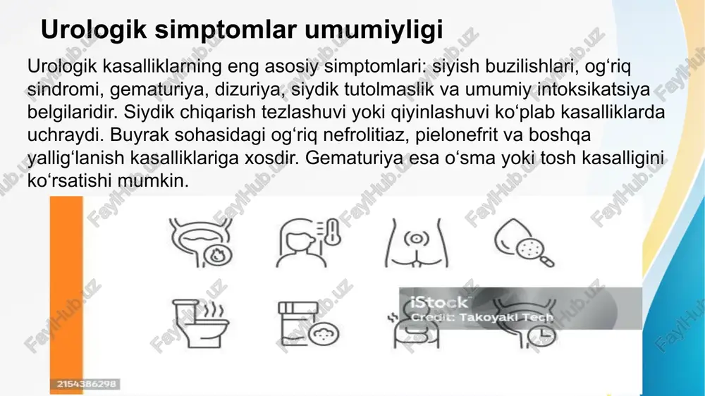 i vositalariga antibiotiklar, diuretiklar, spazmolitiklar va yallig‘lanishga qarshi preparatlar kiradi. antibiotiklar sistit, pielonefrit va prostatitda qo‘llanadi. diuretiklar buyrak faoliyatini rag‘batlantiradi. spazmolitiklar tosh kasalligi va sanchiqda og‘riqlarni kamaytiradi. dorilar dozasini individual tanlash, davo muddatini nazorat qilish kasallikni samarali davolashda muhim hisoblanadi. jarrohlik davolash usullari urologik jarrohlik kasallikning turi va og‘irligiga qarab qo‘llanadi. toshlarni olib tashlash uchun litotripsiya yoki ochiq jarrohlik bajariladi. o‘sma jarayonlarida nefroektomiya yoki qovuq rezektsiyasi qo‘llanadi. prostata adenomasi uchun transuretral rezektsiya keng qo‘llanadi. jarrohlik usullar minimal invaziv texnologiyalar yordamida yanada xavfsiz va samarali bajarilmoqda. buyrak kasalliklari asoratlari buyrak kasalliklari kechikkan hollarda surunkali buyrak yetishmovchiligi rivojlanadi. u azotli moddalar almashinuvi buzilishi, intoksikatsiya va anemiya bilan kechadi. infeksiyalar davolanmasa, sepsisga olib kelishi mumkin. tosh kasalligi davomida gidronefroz va buyrak to‘liq faoliyatining yo‘qolishi xavfi mavjud. buyrak asoratlari erta tashxis va to‘g‘ri davolash bilan oldini olish mumkin. pufak kasalliklari asoratlari sistit va boshqa pufak kasalliklari o‘z vaqtida davolanmasa, surunkali shaklga o‘tadi. siydik chiqarish …
