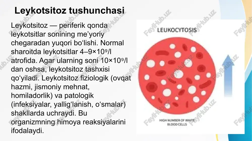 gematopoetik ildiz hujayralarining nazoratsiz ko‘payishi bilan tavsiflanadi. bu jarayon natijasida blast hujayralar periferik qonga chiqib, normal qon elementlarining ishlab chiqilishini to‘sadi. leykozlarning rivojlanishi natijasida anemiya, trombotsitopeniya, immunitet pasayishi va organomegaliya yuzaga keladi. ularning o‘tkir va surunkali shakllari mavjud bo‘lib, klinik belgilari, kechishi va prognozlari sezilarli darajada farqlanadi. leykozlarning umumiy patogenezi leykozlarning patogenezida genetik mutatsiyalar, xromosomal translokatsiyalar va onkogenlarning faollashuvi asosiy rol o‘ynaydi. bu jarayon hujayralarning normal differensiyalanishini buzadi va blast hujayralarning to‘planishiga olib keladi. malign klon suyak ko‘migi faoliyatini bosib chiqaradi, normal eritrotsit, trombotsit va leykotsitlar ishlab chiqilishi kamayadi. natijada anemiya, gemorragik diatez va tez-tez infeksiyalar kuzatiladi. blast hujayralar qonda aylanib, jigar, taloq va limfa tugunlariga infiltratsiya qiladi. leykozlarning tasnifi leykozlar klinik kechishiga qarab o‘tkir va surunkali shakllarga bo‘linadi. o‘tkir leykozlar limfoblastik (all) va mieloblastik (aml) turlarga ajratiladi. ular bolalarda va yosh odamlarda ko‘p uchraydi. surunkali leykozlar esa mieloid (cml) va limfoid (cll) shakllarda uchrab, kattalarda keng tarqalgan. har bir …