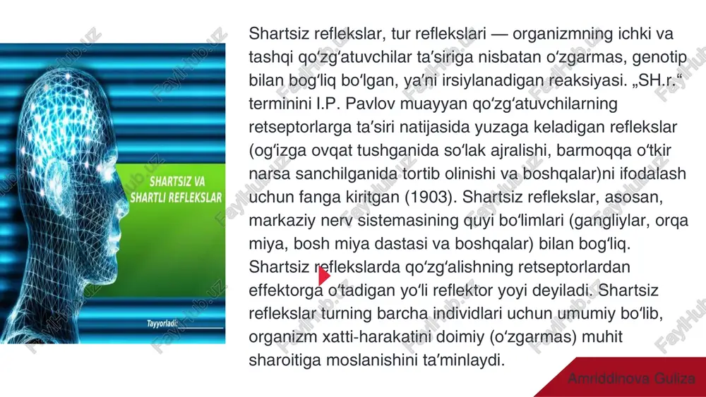 i yoki miqdorining eng past qiymati bo'lib, bu qiymatda organizmda sezilarli o'zgarishlar yuzaga keladi. amriddinova guliza bevosita qo'zg'atuvchilar chegarasini aniqlash elektr toki: mexanik zarba: harorat: neyronlarga ta'sir qilishi uchun eng past kuchlanish (voltaj) yoki kuchlanish farqi (potentsial) aniqlanadi. to'qimalar shikastlanishi yoki yorilishiga olib keladigan eng past zarba kuchi aniqlanadi. organizmni tiriltirish yoki o'lik holatga keltirish uchun eng past yoki eng yuqori harorat aniqlanadi. amriddinova guliza bilvosita qo'zg'atuvchilar chegarasini aniqlash kimyoviy moddalar: dorilar: ta'sir doirasidagi eng past konsentratsiyasi aniqlanadi. gormonlar: metabolizmga ta'sir ko'rsatadigan eng past konsentratsiyasi aniqlanadi. biologik agentlar: viruslar: yuzaga keltirishi mumkin bo'lgan infektsiya uchun zararlanish darajasi aniqlanadi. amriddinova guliza amriddinova guliza shartli reflekslar shakllanishini o'rganish va bevosita hamda bilvosita qo'zg'atuvchilarni ajratish uchun eksperimental usullar qo'llaniladi. jarayonni i.p. pavlov usullari bo'yicha, odatda itlarda, qabul qilingan (masalan, oziq-ovqat ta'siri ostida so'lak ajralishi) shartli reflekslar yordamida o'rganish mumkin. shartli reflekslarni o'rganish 1.bevosita qo'zg'atuvchi: avvalo, hayvonni biror ta'sirga (masalan, ovoz, yorug'lik) o'rgatish uchun …