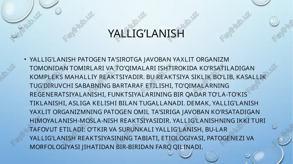 liq. masalan, ba'zi qo'zg'atuvchilar (stafilokokk) yiringlash jarayoni ustun turadigan yallig'lanishga sabab bo'lsa, boshqalari (difteriya qo'zg'atuvchilari) surunkali yallig'lanish o'tkir yallig'lanishga qarama-qarshi o'laroq, surunkali yallig'lanish pato-gen omil necha haftalab, oylab ta'sir ko'rsatib turadigan mahalda boshlanadi. yallig'lanishning bu turida zararlangan joyda mononuklear infiltratsiya bosh-lanib, keyinchalik fibroblastlar proliferasiyasi avj oladi. yallig'lanish infiltrati makrofaglar, limfotsitlar va ahyon-ahyonda plazmatik hujayralardan iborat bo’ladi etiologiyasi va patogenezi surunkali yallig'lanish organizmning o'tkir yallig'lanish o'chog'ini cheklab qo'yish layoqati yetarli emasligi natijasida o'tkir yallig'lanish oqibati bo'lishi, re-parativ regeneratsiya jarayonlarini to'la-to'kis namoyon etishi yoki patogen omil saqlanib qolishi natijasida boshlanishi mumkin. masalan, o'pkadagi bakterial in-feksiya odatda yallig'lanish fokusining so'rilib ketishi bilan tugallanadigan oʻtkir yallig'lanish jarayoni tariqasida boshlanishi mumkin. lekin yallig'lanishning qo'zg'atuvchisi sezilarli virulentligi bilan ajralib turadigan, organizmning himoya kuchlari esa o'tkir infeksiyani yengishga kuchi yetmaydigan bo'lsa, u holda o'pka toʻqimasi o'zgarishga uchrab, unda surunkali abssess paydo bo'lishi mumkin. ana shunday abssessda infeksiya o'chmasdan tutab turgan gulxan ko'rinishida saqlanib qoladi. surunkali yallig'lanish infiltratda …