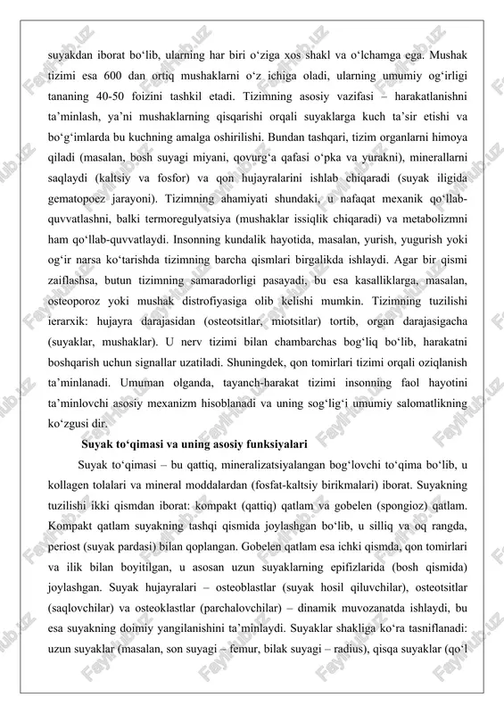 umuman olganda, tayanch-harakat tizimi insonning faol hayotini ta’minlovchi asosiy mexanizm hisoblanadi va uning sog‘lig‘i umumiy salomatlikning ko‘zgusi dir. suyak to‘qimasi va uning asosiy funksiyalari suyak to‘qimasi – bu qattiq, mineralizatsiyalangan bog‘lovchi to‘qima bo‘lib, u kollagen tolalari va mineral moddalardan (fosfat-kaltsiy birikmalari) iborat. suyakning tuzilishi ikki qismdan iborat: kompakt (qattiq) qatlam va gobelen (spongioz) qatlam. kompakt qatlam suyakning tashqi qismida joylashgan bo‘lib, u silliq va oq rangda, periost (suyak pardasi) bilan qoplangan. gobelen qatlam esa ichki qismda, qon tomirlari va ilik bilan boyitilgan, u asosan uzun suyaklarning epifizlarida (bosh qismida) joylashgan. suyak hujayralari – osteoblastlar (suyak hosil qiluvchilar), osteotsitlar (saqlovchilar) va osteoklastlar (parchalovchilar) – dinamik muvozanatda ishlaydi, bu esa suyakning doimiy yangilanishini ta’minlaydi. suyaklar shakliga ko‘ra tasniflanadi: uzun suyaklar (masalan, son suyagi – femur, bilak suyagi – radius), qisqa suyaklar (qo‘l bilak suyaklari), tekis suyaklar (bosh suyagi, qovurg‘alar), sesamoid suyaklar (tizza patellasi) va notekis suyaklar (umurtqalar). uzun suyakda diafiz (tanasi), metafiz …