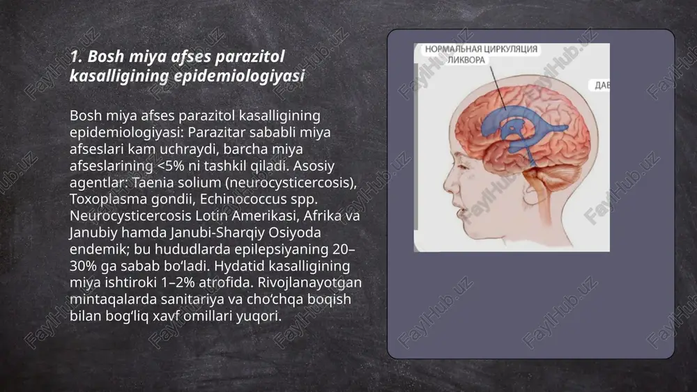 bosh miya afses parazitol kasalligi - Page 3