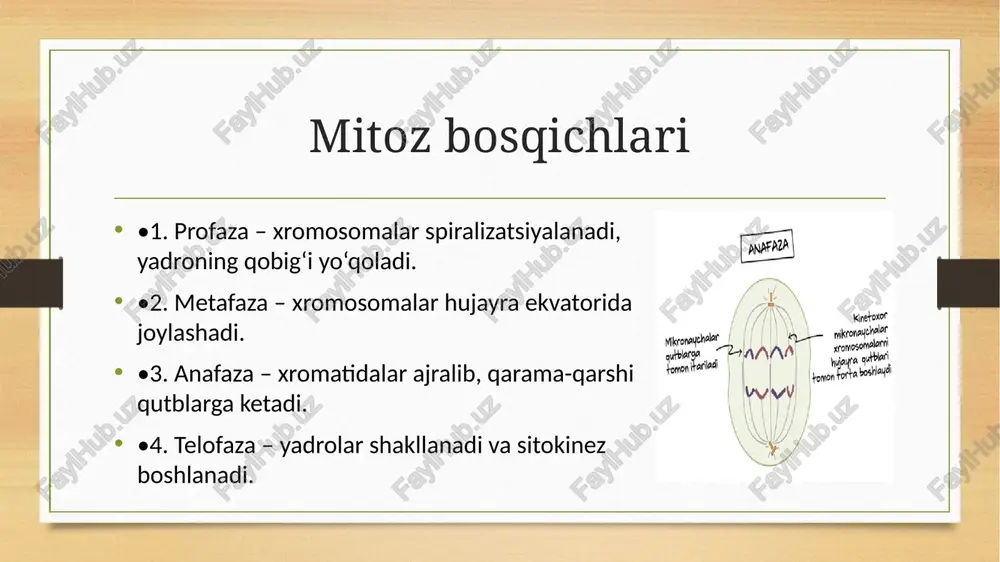 mitozvameyoz - Page 3