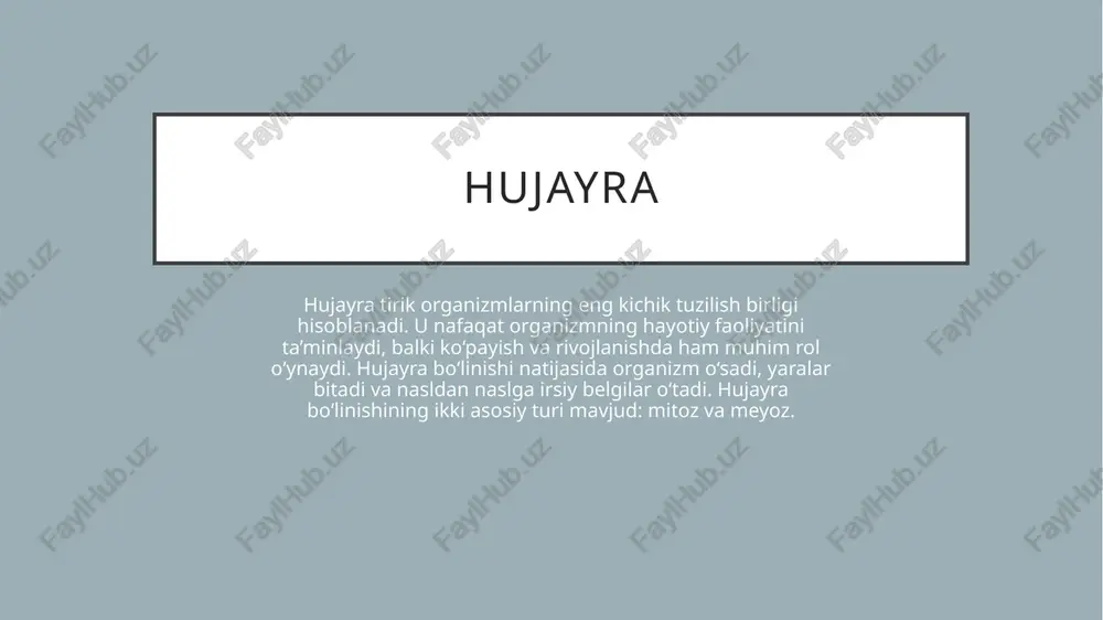 biyogenetika loyiha ishi - Page 3