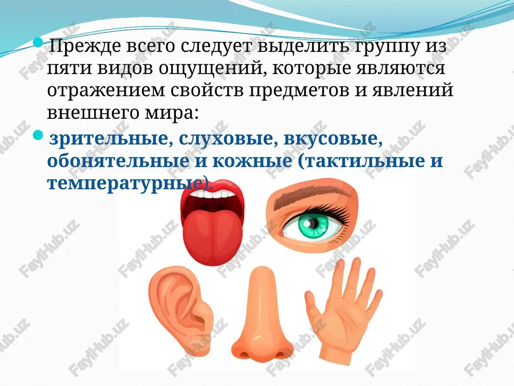 koleblyushimisya telami. organicheskie oshusheniya. k organicheskim oshusheniyam otnosyatsya oshusheniya goloda, jajdi, sitosti, toshnoti, udushya i t. d. sootvetstvuyushie retseptori naxodyatsya v stenkax vnutrennix organov: pishevoda, jeludka, kishechnika. pri normalnoy rabote vnutrennix organov otdelnie oshusheniya slivayutsya v odno oshushenie, sostavlyayushee obshee samochuvstvie cheloveka. oshusheniya ravnovesiya. organ oshusheniya ravnovesiya — vestibulyarniy apparat vnutrennego uxa, dayushiy signali o dvijenii i polojenii golovi. normalnaya deyatelnost organov ravnovesiya ochen vajna dlya cheloveka. naprimer, pri opredelenii prigodnosti k spetsialnosti letchika, osobenno letchika-kosmonavta, vsegda proveryayut deyatelnost organov ravnovesiya. organi ravnovesiya tesno svyazani s drugimi vnutrennimi organami. pri silnom perevozbujdenii organov ravnovesiya nablyudaetsya toshnota i rvota (tak nazivaemaya morskaya ili vozdushnaya bolezn). odnako pri regulyarnoy trenirovke ustoychivost organov ravnovesiya znachitelno vozrastaet. dvigatelnie oshusheniya. dvigatelnie, ili kinesteticheskie, oshusheniya — eto oshusheniya dvijeniya i polojeniya chastey tela. retseptori dvigatelnogo analizatora raspolojeni v mishtsax, svyazkax, suxojiliyax, sustavnix poverxnostyax. dvigatelnie oshusheniya signaliziruyut o stepeni sokrasheniya mishts i o polojenii chastey nashego tela, …