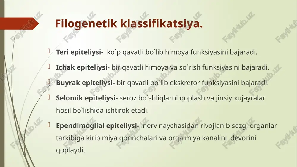 o`zilgan xolati 1-o`zgaruvchan epitekiy 2- biriktiruvchi to`qima e`tiboringiz uchun raxmat !!! image1.png image2.png image3.png image4.png image5.png image6.jpeg image7.jpeg image8.jpeg image9.jpeg image10.jpeg image11.png image12.png image13.png , in wii a /docprops/thumbnail.jpeg epiteliy to’qimasi textus epithelialis