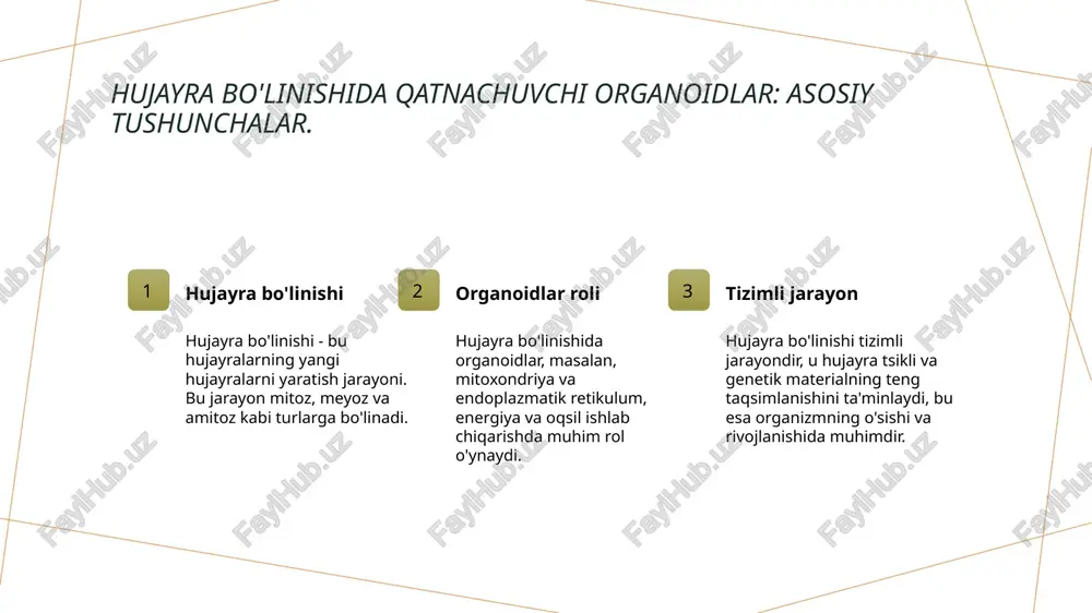 joylashadi. ularning tugunlari mitotich spindel orqali bog'lanadi, bu xromosomalar bo'linishi uchun tayyorgarlikdir. 4 anafaza va telofaza anafazada xromosomalar qarama-qarshi tomonlarga tortiladi. telofazada esa, yangi yadrolar hosil bo'ladi va hujayra bo'linishi yakunlanadi. meyozning ikki marta boʻlinishi: genetik xilma-xillikni ta'minlash. 1 meyoz jarayoni meyoz jarayoni, hujayralarning ikki marta bo'linishini ta'minlaydigan nazorat jarayoni bo'lib, genetik xilma-xillikni oshirishga xizmat qiladi. 2 genetik xilma-xillik meyoz natijasida hosil bo'lgan gametalar turli genetik kombinatsiyalarga ega bo'lib, bu organizmlarning genetik xilma-xilligini ta'minlaydi. 3 hujayra bo'linishi ikki marta bo'linish jarayoni, birinchi bo'linish (meiosis i) va ikkinchi bo'linish (meiosis ii) orqali sodir bo'ladi, bu esa xilma-xillikni kuchaytiradi. mitoz va meyoz: hujayra hayoti va oʻsish jarayonidagi roli. 01 mitoz va meyoz mitoz va meyoz hujayra bo'linishining ikki asosiy turi bo'lib, hujayralarning o'sishi va ko'payishida muhim rol o'ynaydi. 02 huquqiy o'sish mitoz jarayoni hujayralarning o'sishini ta'minlaydi, yangi hujayralar yaratib, organizmning o'sishi va rivojlanishiga yordam beradi. 03 genetik xilma-xillik meyoz jarayoni genetik xilma-xillikni …