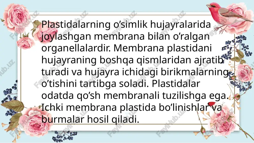 plastidalarning turlari va ularning vazifalari - Page 3