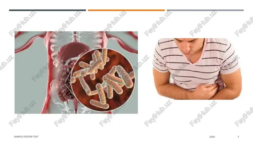 ʻgʻon ichagi yalligʻlanganda ichi ketadi, keyinchalik ichi qotadi. kasallik ogʻir oʻtganda hayvon nobud boʻladi. davolash: ichni yumshatuvchi dorilar (natriy va magniy sulfat), antibiotiklar va boshqalar beriladi. ichaklarni dezinfeksiyalovchi dorilar ichiriladi. sample footer text 20xx 10 e’tiborimgiz uchun raxmat !!! image1.jpeg image2.jpeg image3.jpeg image4.jpeg image5.jpeg image6.jpeg