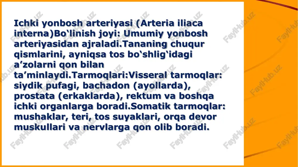 ng mushaklari va terilarini qon bilan ta'minlashda muhim rol o‘ynaydi. ularning topografik joylashuvi klinik amaliyotda, ayniqsa operatsiyalar va angiografiyada muhim ahamiyatga ega. 10