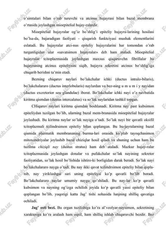 lar so’lak nayining sekretor faoliyatidan, so’lak hosil bo’lishida ishtiro-ki borligidan darak beradi. so’lak nayi bo’lakchalararo nayga o’tadi. bu nay ikki qavat tcilindrsimon epiteliy bilan qopla-nib, nay yiriklashgai sari uning epiteliysi ko’p qavatli bo’lib boradi. bo’lakchalararo naylar umumiy nayga qo’shiladi. bu nay-lar ko’p qavatli kubsimon va nayning og’izga ochilish joyida ko’p qavatli yassi epiteliy bilan qoplangan bo’lib, yuqorigi katta jag’ tishi sohasida lunjning shilliq qavatiga ochiladi. jag’ osti bezi. bu organ tuzilishiga ko’ra al’veolyar-naysimon, sekretining xarakteriga ko’ra aralash ham oqsil, ham shilliq ishlab chiqaruvchi bezdir. bez tashqaridan yupqa birik-tiruvchi to’qimali kapsula bilan qoplangan. kapsula bezni bo’-laklarga bo’lib biriktiruvchi to’qimali trabekulalargacha davom etadi. har bir bo’lak o’z navbatida, quloq oldi bezi singarn, atcinus va sekret chiqaruv nayining boshlanish qismlaridan ibo-rat. bu bezda ikki xil - sof oqsil hujayralaridan va ham oq-sil, ham shilliq ishlab chiqaruvchi hujayralardan tashkil topgan. atcinuslar tafovut etiladi. sof oqsil ishlab chiqaruvchi hujayralardan iborat atcinuslar ko’p bo’lib, ularning tuzilishi …
