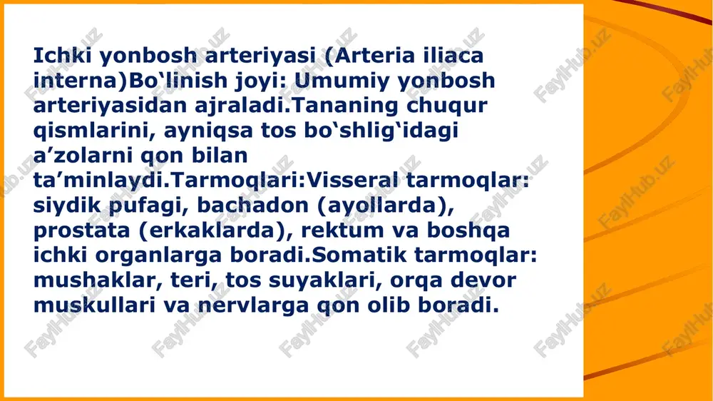 o‘ynaydi. ularning topografik joylashuvi klinik amaliyotda, ayniqsa operatsiyalar va angiografiyada muhim ahamiyatga ega. 10 first up consultants image5.jpg image6.jpeg image7.jpg image8.jpg image9.png image1.jpeg image3.png image4.jpeg illustration of circulatory system beno! manozo ma3za kehujuh (é npocmamer joshoe criaemenue beho3haa cuictema ta3a y *kehlimh hmkhas nonaa beha jlepaa nowewhan beha o6ujan nogbsqowhaa beha jlepaa anv4hukobaa beha npasaa noueuhad beha npasaa sauyhnkobaaa behaa auyhukoboe beho3hoe cnnetehue matouhoe beho3hoe | cnnetehue hapy>khas nogb3qowhaa beha “bhytpehhaa nogzb3sq0whaa beha matounaa beha bnaranuuyhoe beeho3hoe cnnetehne /docprops/thumbnail.jpeg