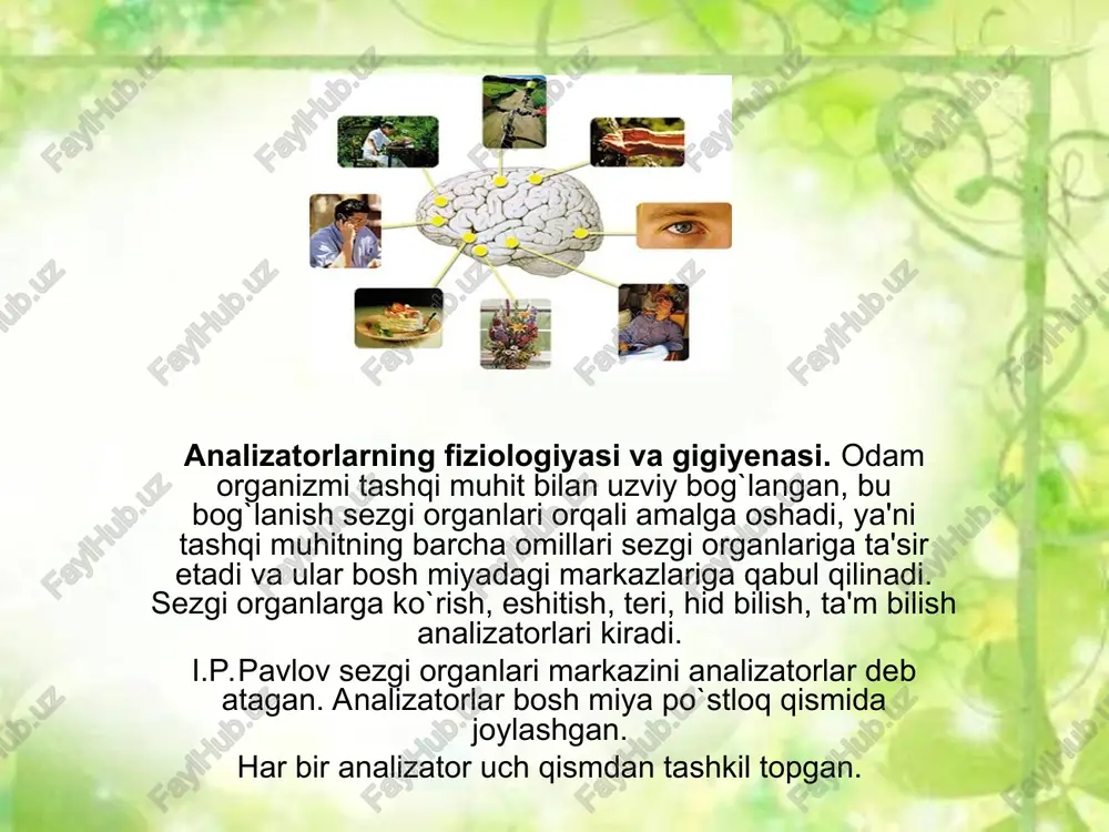 mo keksalardako’z gavhari do’ngligining kamayishi tufayli ham yuzaga kelishi mumkin. ko’rish gigiyenasi. ko’rish qobiliyati me’yorida saqlanishi uchun quyidagi gigiyenik qoidalarga rioya qilish lozim: - yorug’likning yetarli (100 - 150 luks) bo’lishi; - yorug’likning chap tomondan tushishi; - kitob, daftar, tikish va rasm chizish buyumlarining ko’zdan o’rtacha 40 sm masofada tutish (har bir odamning ikki qarichigateng masofada); - o’qish, yozish, chizish, mashg’ulotlarida har 15 minutda ko’zga 15 daqiqa dam berib derazadan uzoqqa qarash; - kundalik ovqat tarkibida a vitaminga boy taomlar (jigar, sariyog’, sabzi, qovoq)ni muntazam iste’mol qilish. xulosa: ko‘ruv analizatori inson organizmidagi eng muhim sezgi tizimlaridan biri bo‘lib, tashqi muhitdagi yorug‘lik signallarini qabul qilib, ularni asabiy impulslarga aylantirib, markaziy nerv tizimiga uzatadi. bu analizatorning asosiy tarkibiy qismlari ko‘zning optik tizimi (shox parda, qorachiq, gavharsha (linza), koʻz shirasi) va retseptor tizimi (to‘r pardadagi tayoqchalar va konuslar) hisoblanadi. optik tizim yorug‘lik nurlarini fokuslaydi, retseptor tizimi esa ushbu yorug‘likni sezadi va impulslarga aylantiradi. …