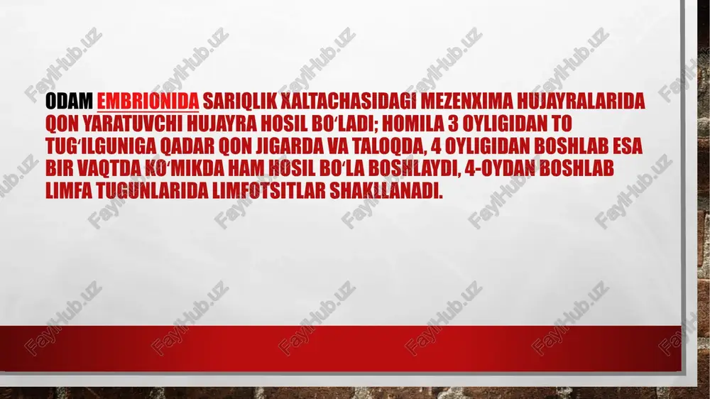 adorlikka ega, donadorlik shakli va katta kichikligi bo’yicha bir xil emas, aksari yadro ustiga taxlanib turadi. yadrosi ko’pincha strukturasiz to’q binafsha ranggga bo’yalgan va zarang yoki sebarga bargiga o’xsg\haydi; bir necha segmentli bir tomonlama chuqur o’ymali, tuxumsimon va yumaloq yadrolar kamroq uchraydi. limfosit- o’lchami 7-14mkm, yumaloq shakldagi hujayra. yadro hujayraning ko’p qismini egallab, odatda sitoplazmaning yarim oysimon ensiz gardishini qoldiradi xalos, yadro yumaloq, ba’zan kichkina botiqchasi bor; granulositlar yadrosiga nisbatan bir muncha intensive bo’yaladi, ba’zan limfositlarning yadrolarida yadrocha farq qilinadi. limfositlar perenuklear zona borligi bilan farq qiladi. bu zona katta o’lchamli limfositlarda kamroq ifodalangan, ayrim limfositlar sitoplazmasida olcha rang – qizil (azurofil) donadorlik aniqlanadi. monosit - normal qonda topiladigan eng yirik hujayra, yumaloq yoki bir muncha noto’g’ri shaklda, o’lchami 12-20mkm. sitoplazmasi zangori kulrang tusga bo’yaladi va odatda donadorligi yo’q. ba’zan ayrim monositlar sitoplazmasida mayday olcha rang-qizil (azurofil) donadorlik topiladi. yadrosi turli shaklda (tuxumsimon, taqasimon, qo’ziqorinsimon), boshqa turdagi leykositlarning yadrolariga nisbatan …
