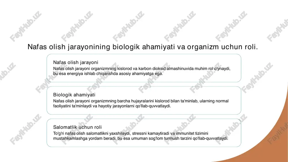 vazifalarga ega, lekin birgalikda nafas olish jarayonini ta'minlaydi. histologik farqlar har bir nafas olish a'zosining histologik tuzilishi o'ziga xosdir. masalan, bronxlarning ichki qoplamasi silindrsimon epiteliy bilan qoplangan, o'pkalarda esa alveol epiteliy mavjud. funktsional o'xshashliklar barcha nafas olish tizimi a'zolari havoni tozalash, namlantirish va isitish vazifasini bajaradi. bu jarayonlar nafas olishning samaradorligini oshiradi. nafas olish organlarining roli va ularning inson salomatligiga ta'siri. nafas olish organlari nafas olish organlari, o'z ichiga o'pkalar, bronxlar va diafragma kiradi. ular kislorodni olish va karbon dioksidni chiqarishda muhim rol o'ynaydi. salomatlikka ta'siri to'g'ri ishlaydigan nafas olish organlari inson salomatligini ta’minlaydi. ular metabolizmni qo'llab- quvvatlaydi va immun tizimini kuchaytiradi. nafas olish va psixika nafas olish jarayoni stressni kamaytiradi va ruhiy holatni yaxshilaydi. tinch nafas olish, kayfiyatni ko'taradi va hissiy barqarorlikni ta'minlaydi. nafas olish sistemasining boshqarilishining asosiy mexanizmlari. 1 nerv tizimi roli - nafas olish tizimini boshqarishda nerv tizimi muhim rol o'ynaydi, chunki u nafas olish markazlarini va …