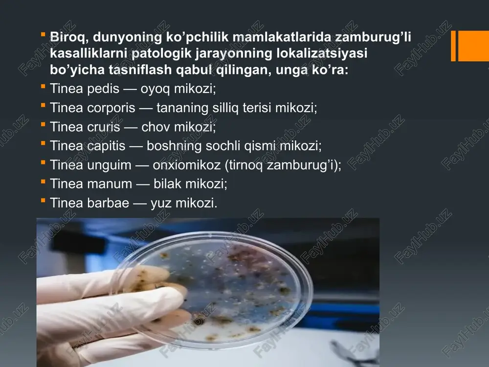 m bo’ylab disseminatsiyali tarqalishi bilan birga kechadi. kechishi tabiati o’tkir yoki surunkali bo’lishi mumkin. zamburug’li kasalliklarni tashxislash tashxis mikroskopik va madaniy ekish tadqiqot usullaridan foydalangan holda amalga oshiriladi. mikroskopik tashxis quyidagi choralarni o’z ichiga oladi: bemordan tekshirish uchun soch, terini tangachalari yoki tirnoq qirindisi olinadi. shuningdek, mitseliyning sporalari, gaz pufakchalari, yirik zamburug’ fragmentlari ham qayd qilinadi. madaniy usul shikastlanishga sabab bo’lgan mitseliy turini aniqlash imkonini beradi. u zamburug’larni oziqa muhitida o’stirish va ularning o’sishi xarakteri va hosil bo’lgan kolonniyani baholashdan iborat. zamburug’li kasalliklarni davolash patologiyalarni davolash va tegishli kompleks terapiyani tayinlash bilan shifokor-dermatolog shug’ullanadi. terapiyada turli xil farmokologik shakllar qo’llaniladi: tabletkalar, malhamlar, kremlar, kukunlar, aerozollar va ularning kombinatsiyasi, masalan, bir vaqtning o’zida tabletka ichish va malhamlarni surtish. immunoterapiya — organizmning himoya xususiyatlarini (immunitetini) rag’batlantirish va vitaminli terapiya ortiqchalik qilmaydi. tizimli zamburug’larga qarshi vositalardan itrakonazol, flukonazol, terbinafin gidroxlorid, ketokonazol ajratiladi. mitseliydan qutulish uchun 60%li giposulfit natriy eritmasi, so’ngra 6%li xlorid kislotasi …