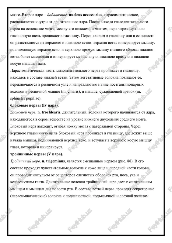 odvigatelnogo nerva na osnovanie mozga, mejdu ego nojkami i mostom, nerv cherez verxnyuyu glaznichnuyu shel pronikaet v glaznitsu. pered vxodom v glaznitsu ili v ee polosti on razvetvlyaetsya na verxnyuyu i nijnyuyu vetvi: verxnyaya vetv innerviruet mishtsu, podnimayushuyu verxnee veko, i verxnyuyu pryamuyu mishtsu glaznogo yabloka; nijnyaya vetv bolee massivnaya i innerviruet medialnuyu, nijnyuyu pryamuyu i nijnyuyu kosuyu mishtsi glaza. parasimpaticheskaya chast glazodvigatelnogo nerva pronikaet v glaznitsu, naxodyas v sostave nijney vetvi. zatem vegetativnie volokna pokidayut ee, pereklyuchayutsya v resnichnom uzle i napravlyayutsya v vide postganglionarnix volokon k resnichnoy mishtse (m. ciliaris), i mishtse, sujivayushey zrachok (m. sphincter pupillae). blokovie nervi (iv para). blokoviy nerv, n. trochlearis, dvigatelniy, volokna kotorogo nachinayutsya ot yadra, naxodyashegosya v serom veshestve na urovne nijnego dvuxolmiya srednego mozga. blokoviy nerv vixodit, ogibaya nojku mozga s lateralnoy storoni. cherez verxnyuyu glaznichnuyu shel blokoviy nerv pronikaet v glaznitsu, gde lejit vishe nachala mishtsi, podnimayushey verxnee veko, i …